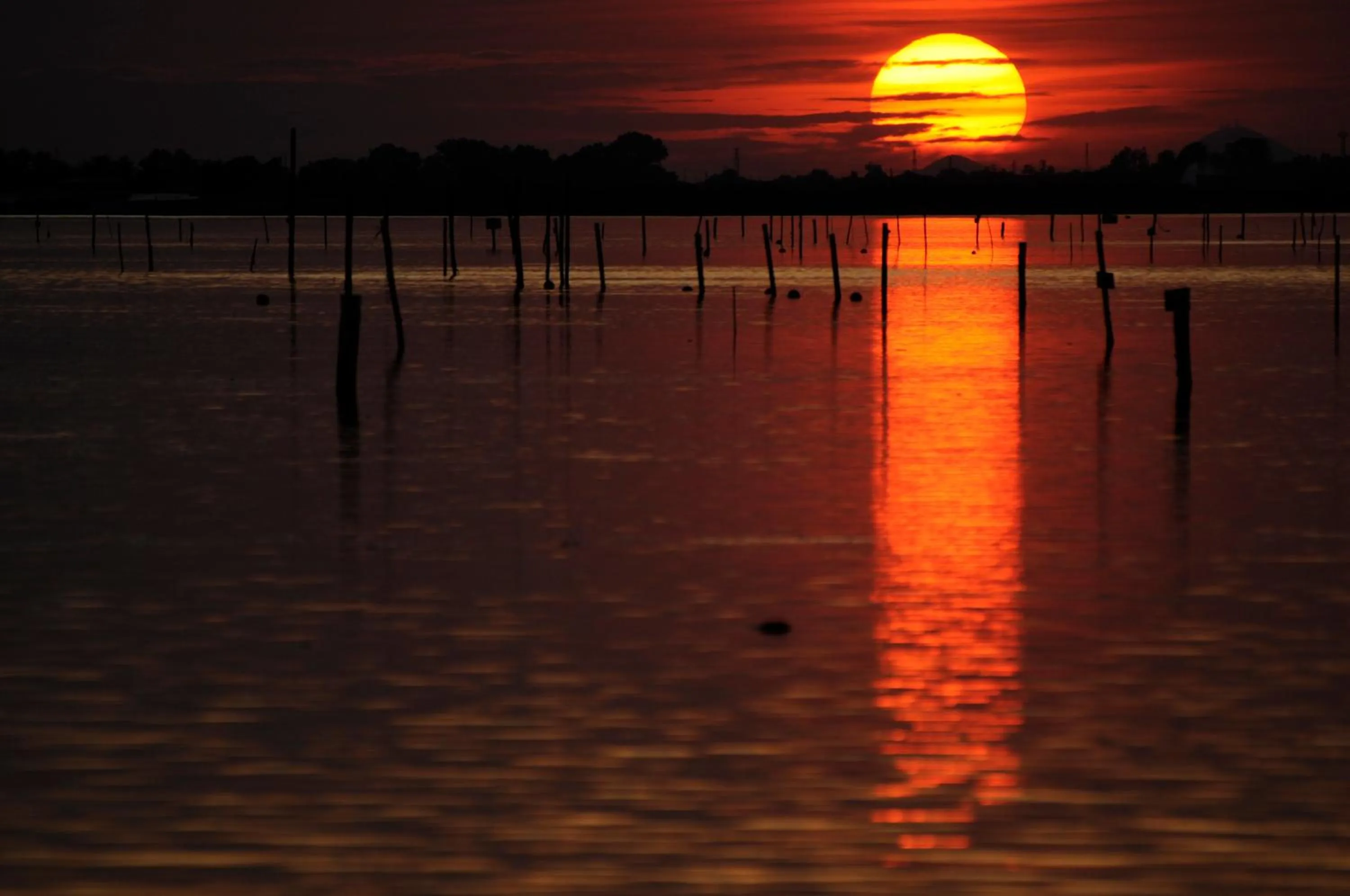 Natural landscape in Isola di Albarella Hotel Capo Nord