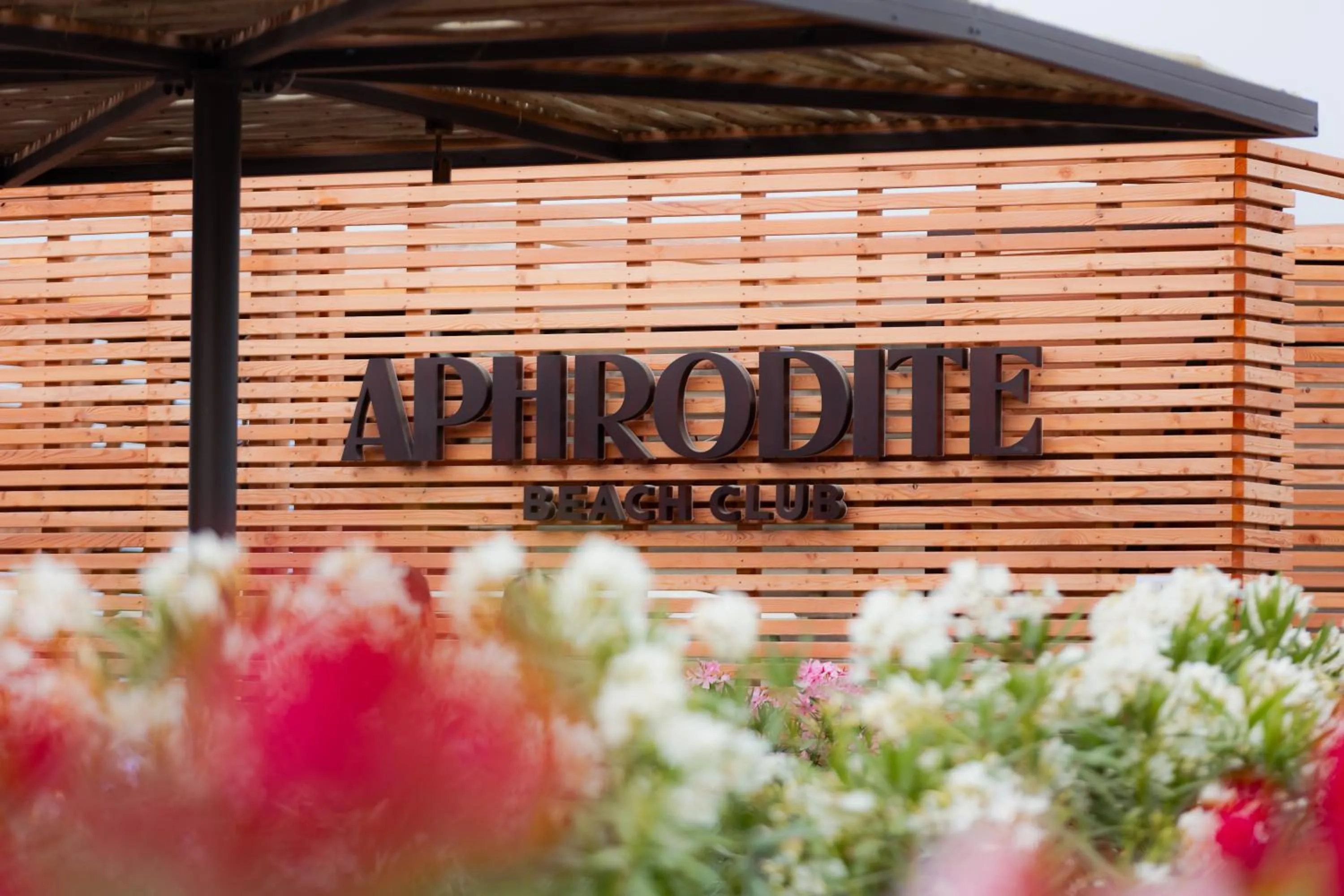 Restaurant/places to eat in Isola di Albarella Hotel Capo Nord