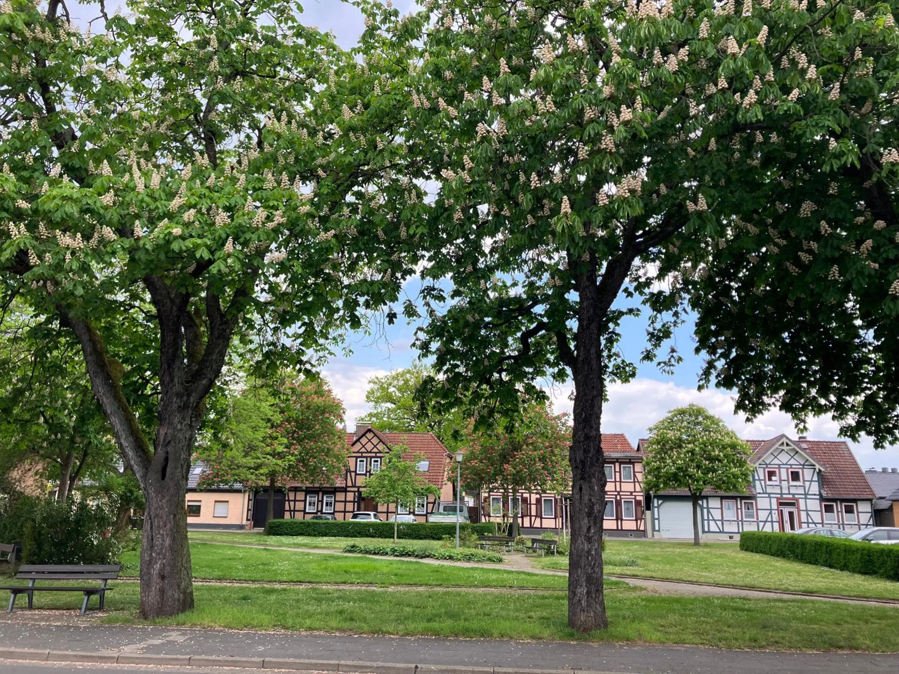 Property building in MEINpartments Wolfsburg