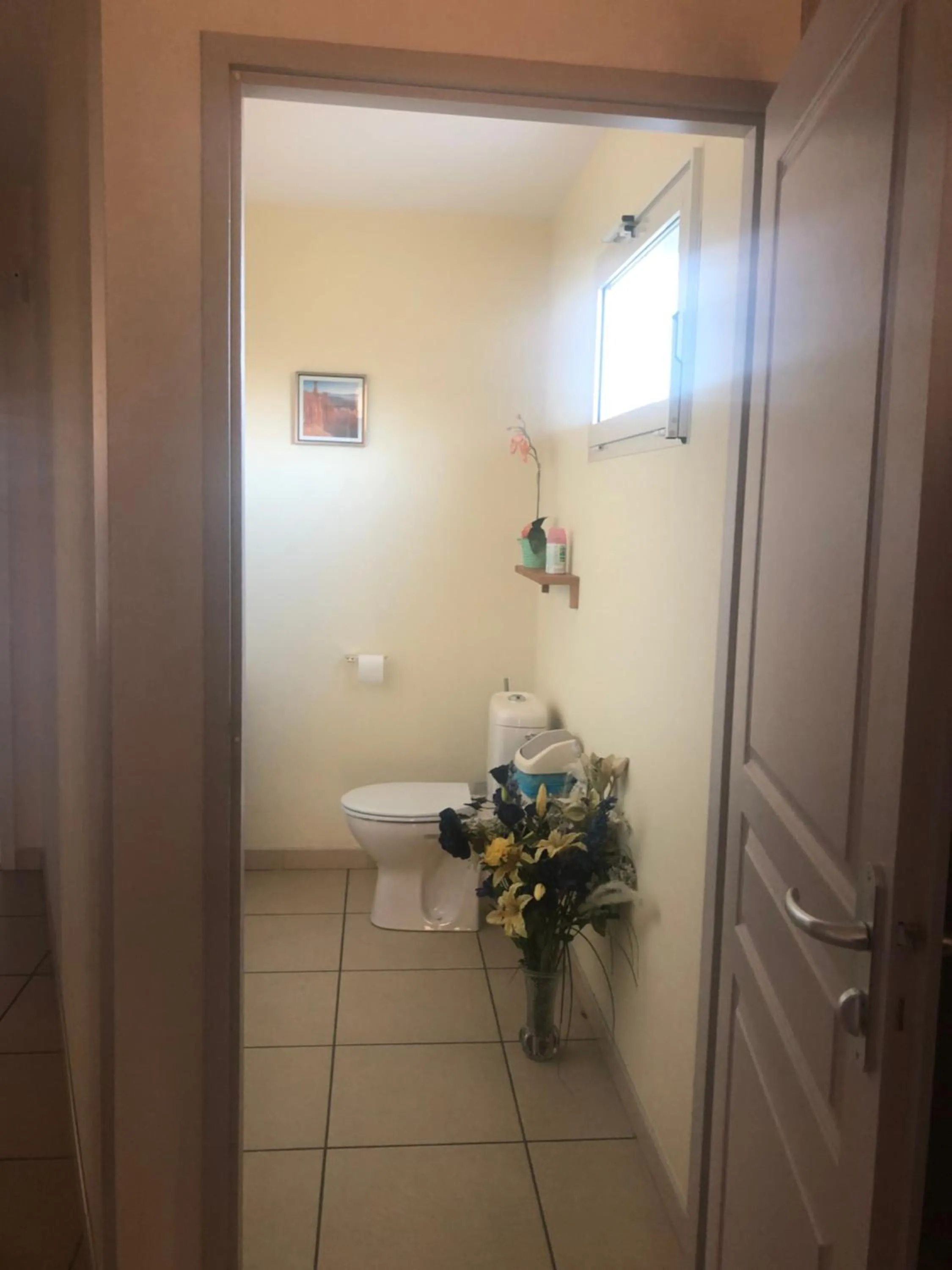 Toilet in Chambres d hôtes Villa Anani Cosson alex