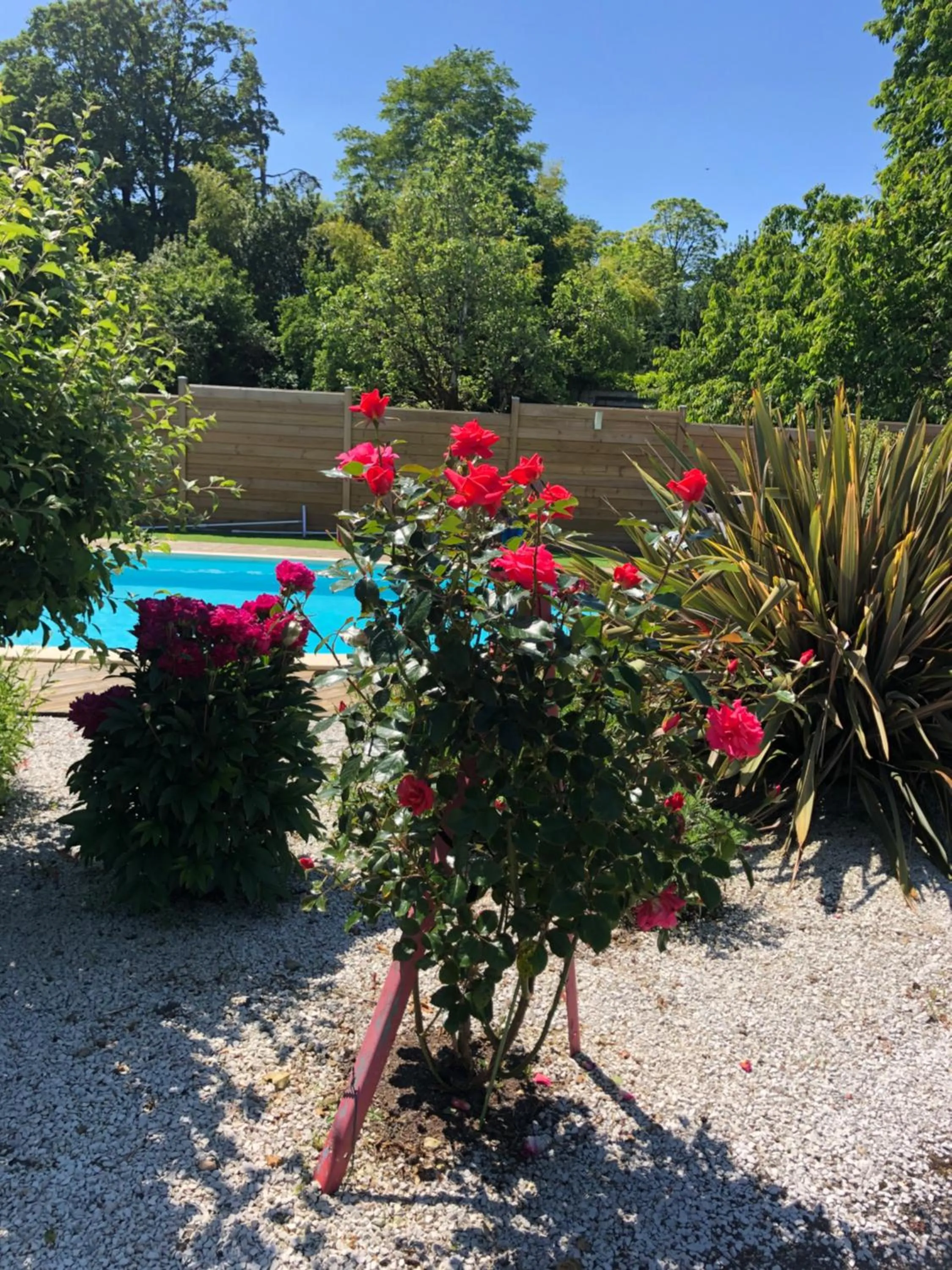 Chambres d hôtes Villa Anani Cosson alex