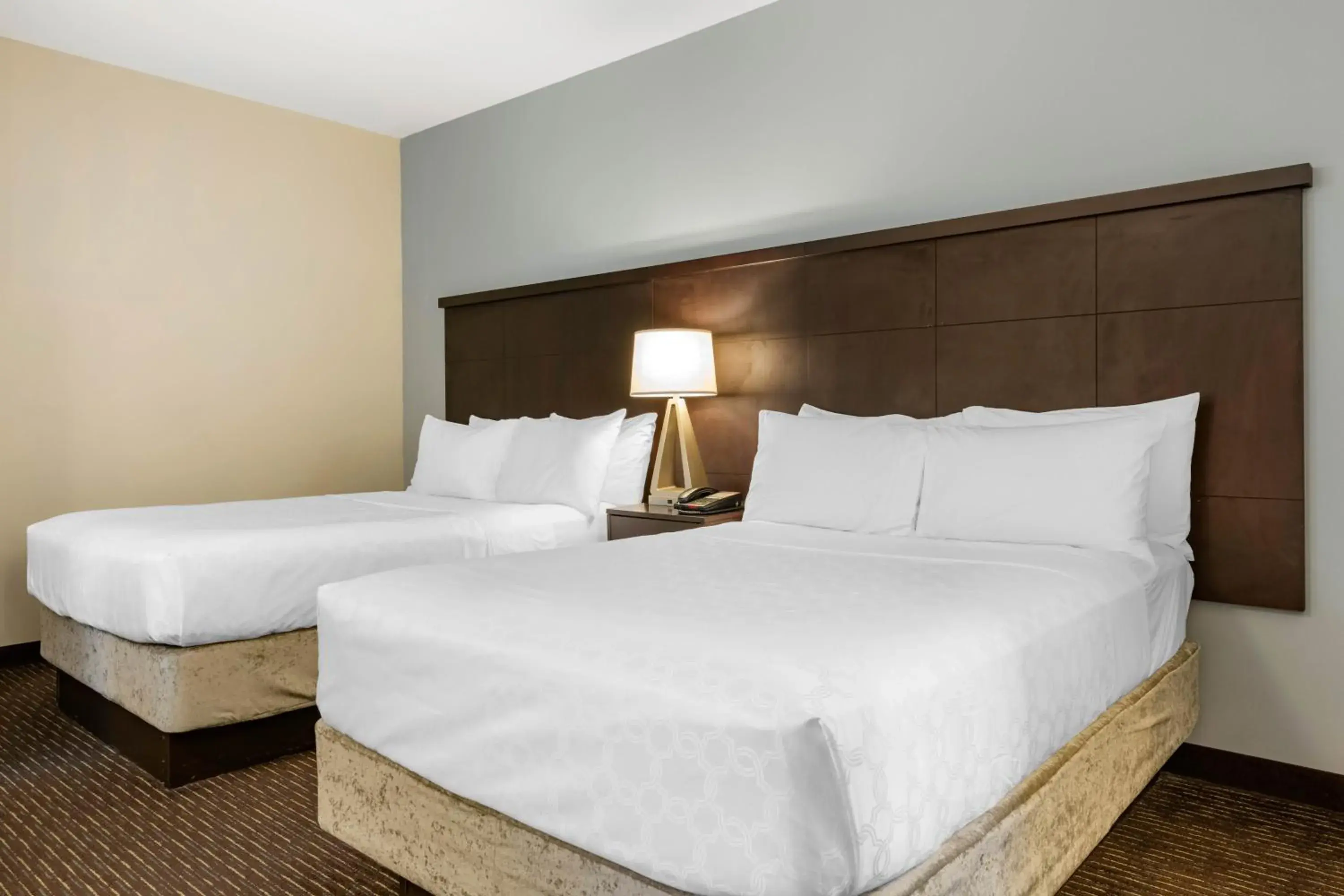Bed in Staybridge Suites St. Petersburg FL by IHG Bed in Staybridge Suites St. Petersburg FL by IHG