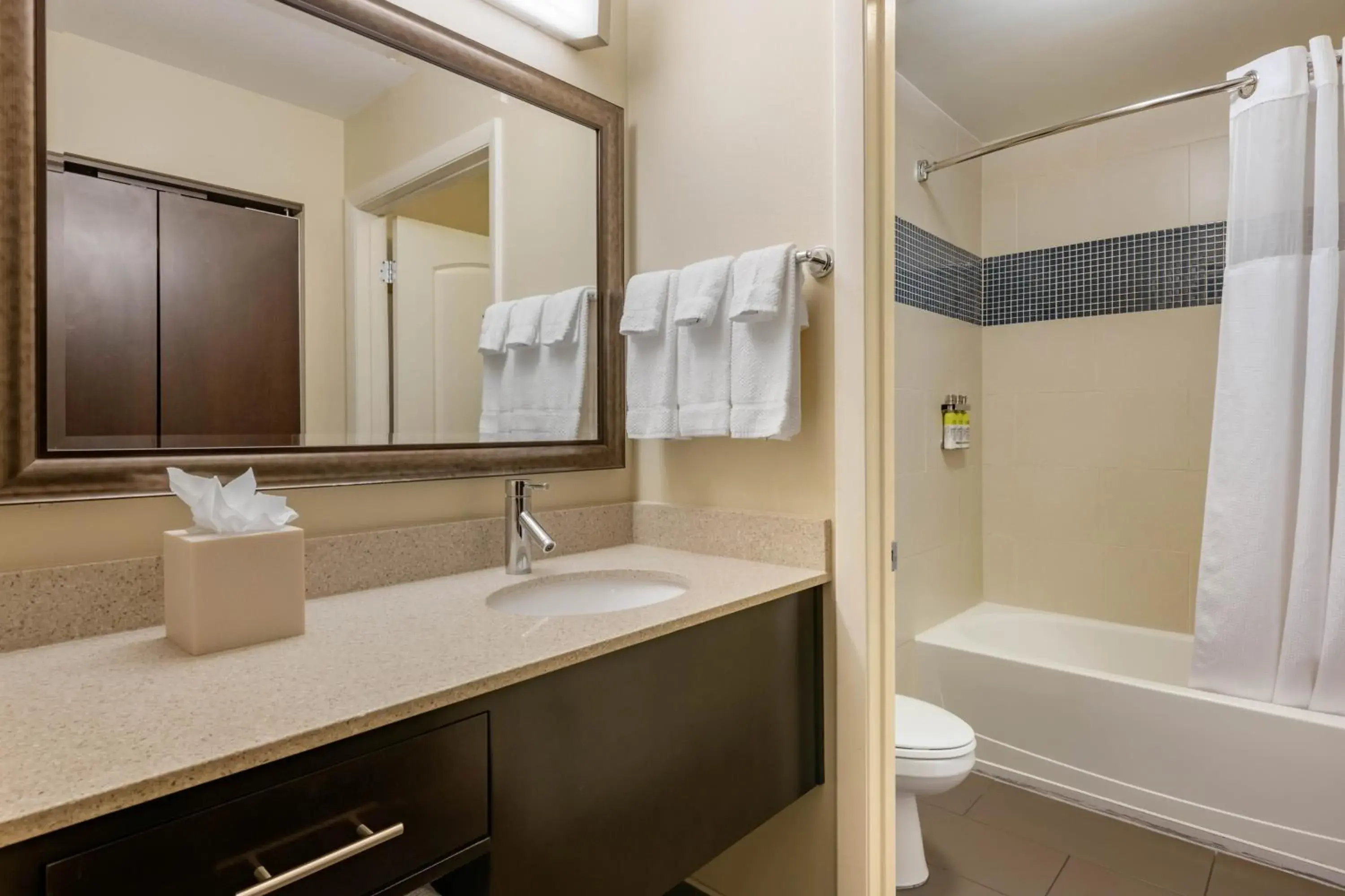 Studio Suite with Two Queen Beds in Staybridge Suites St. Petersburg FL by IHG Studio Suite with Two Queen Beds in Staybridge Suites St. Petersburg FL by IHG