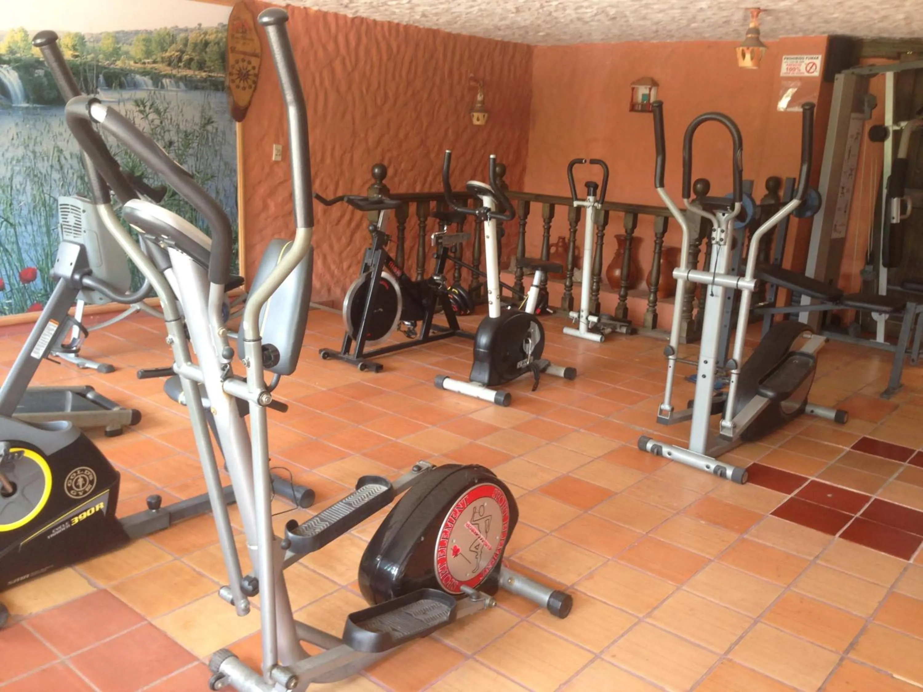 Fitness centre/facilities in Hotel Casablanca Natural Spa
