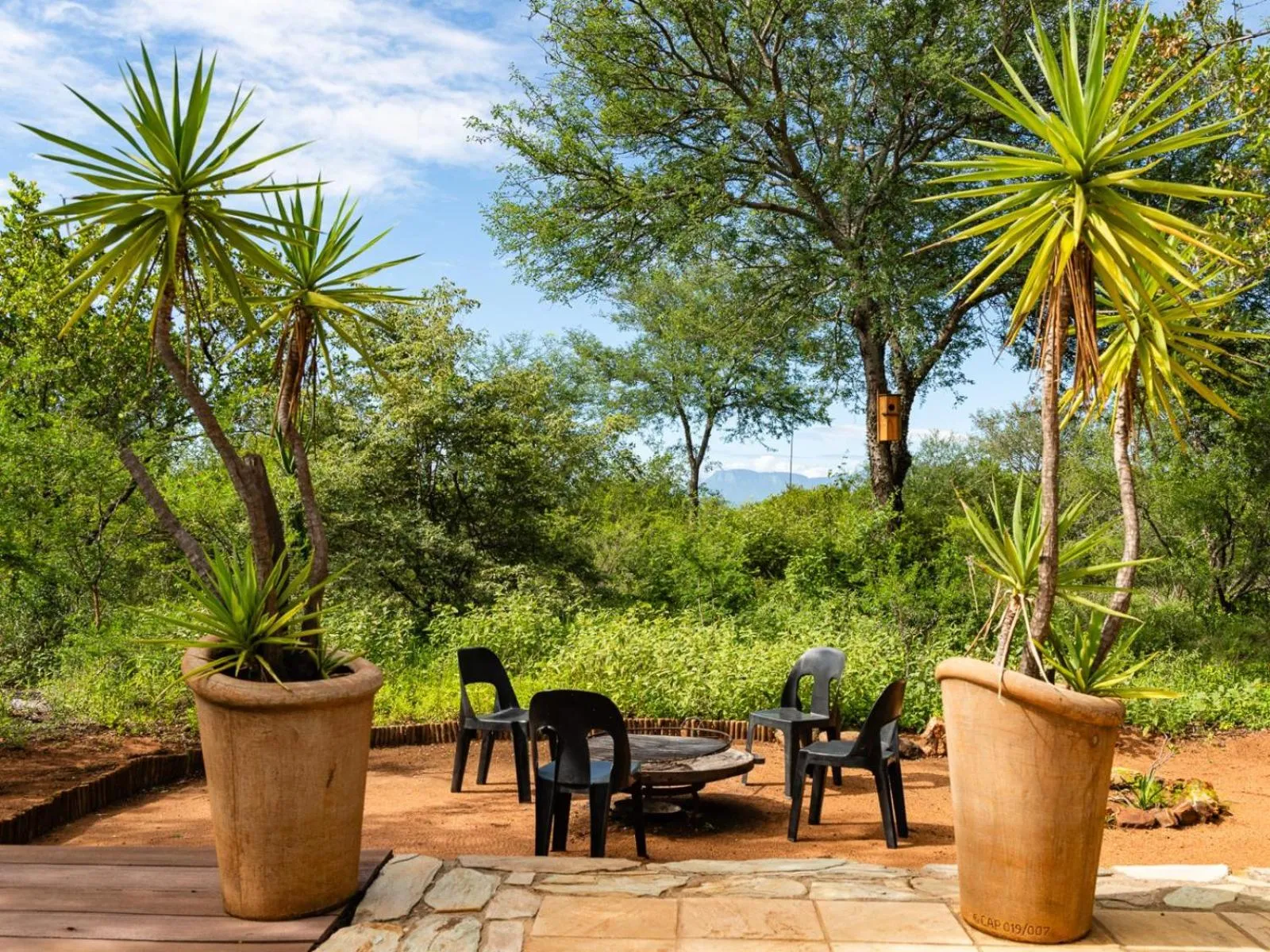 BBQ facilities in Impala Cottage