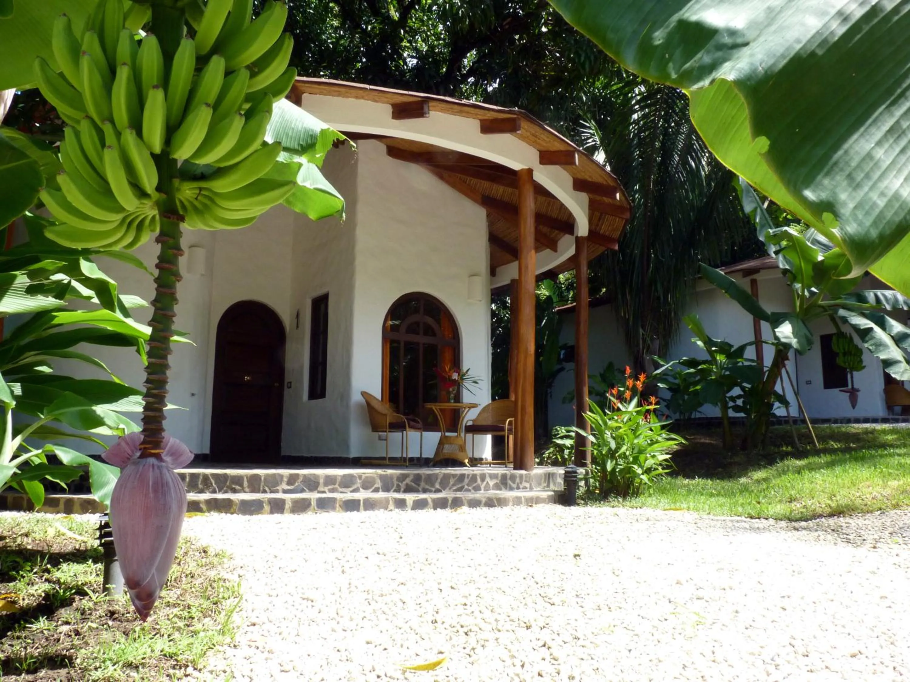 Area and facilities in Manala Hotel