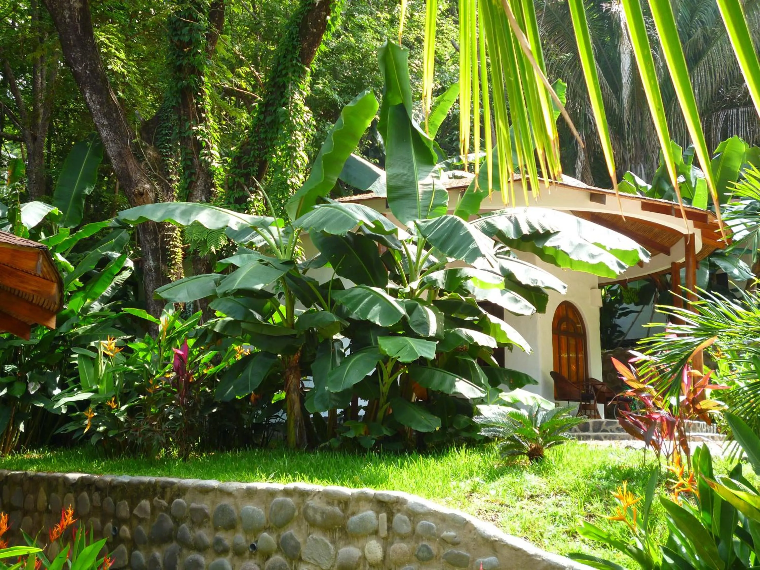 Garden in Manala Hotel