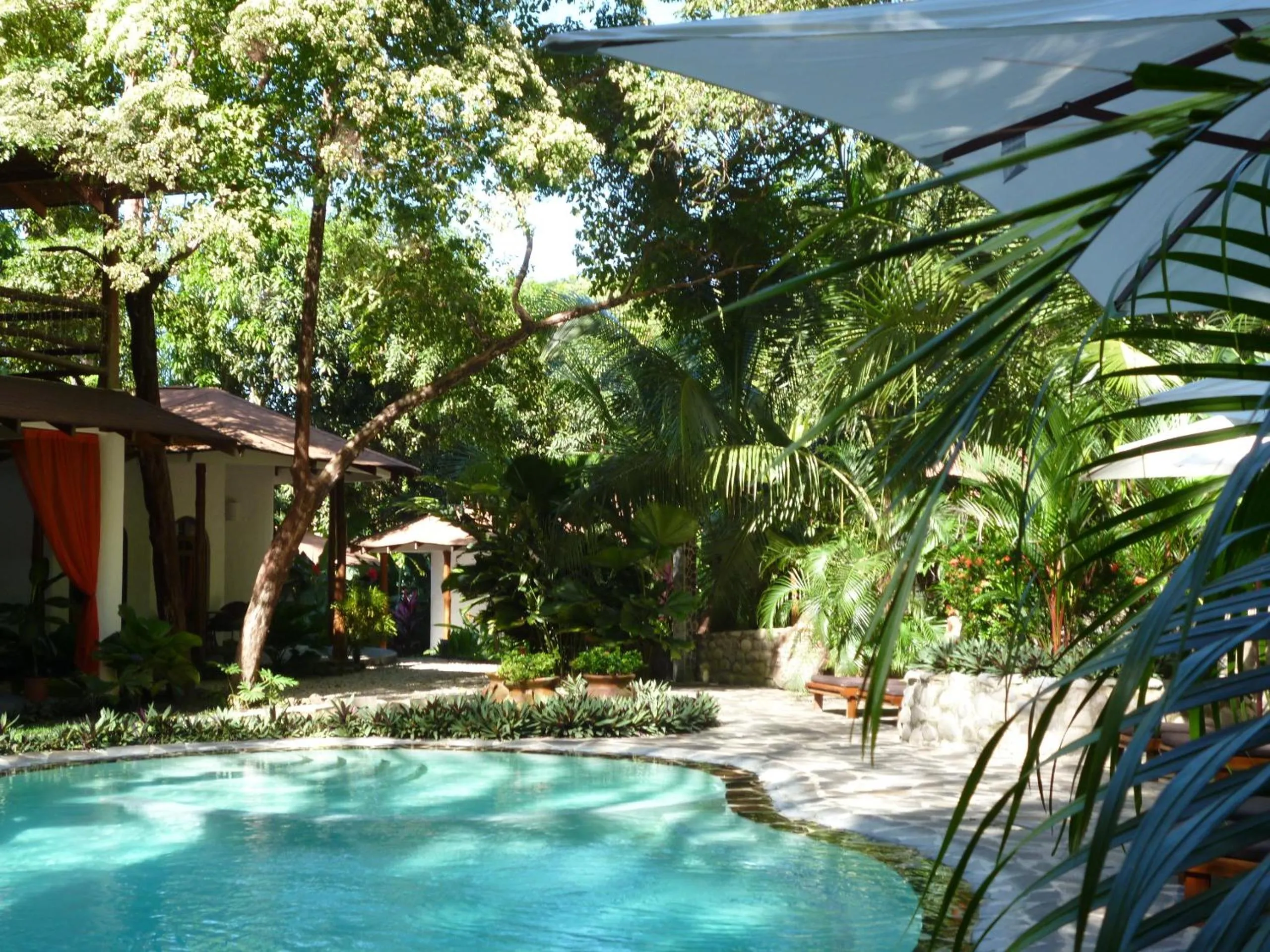 Swimming pool in Manala Hotel