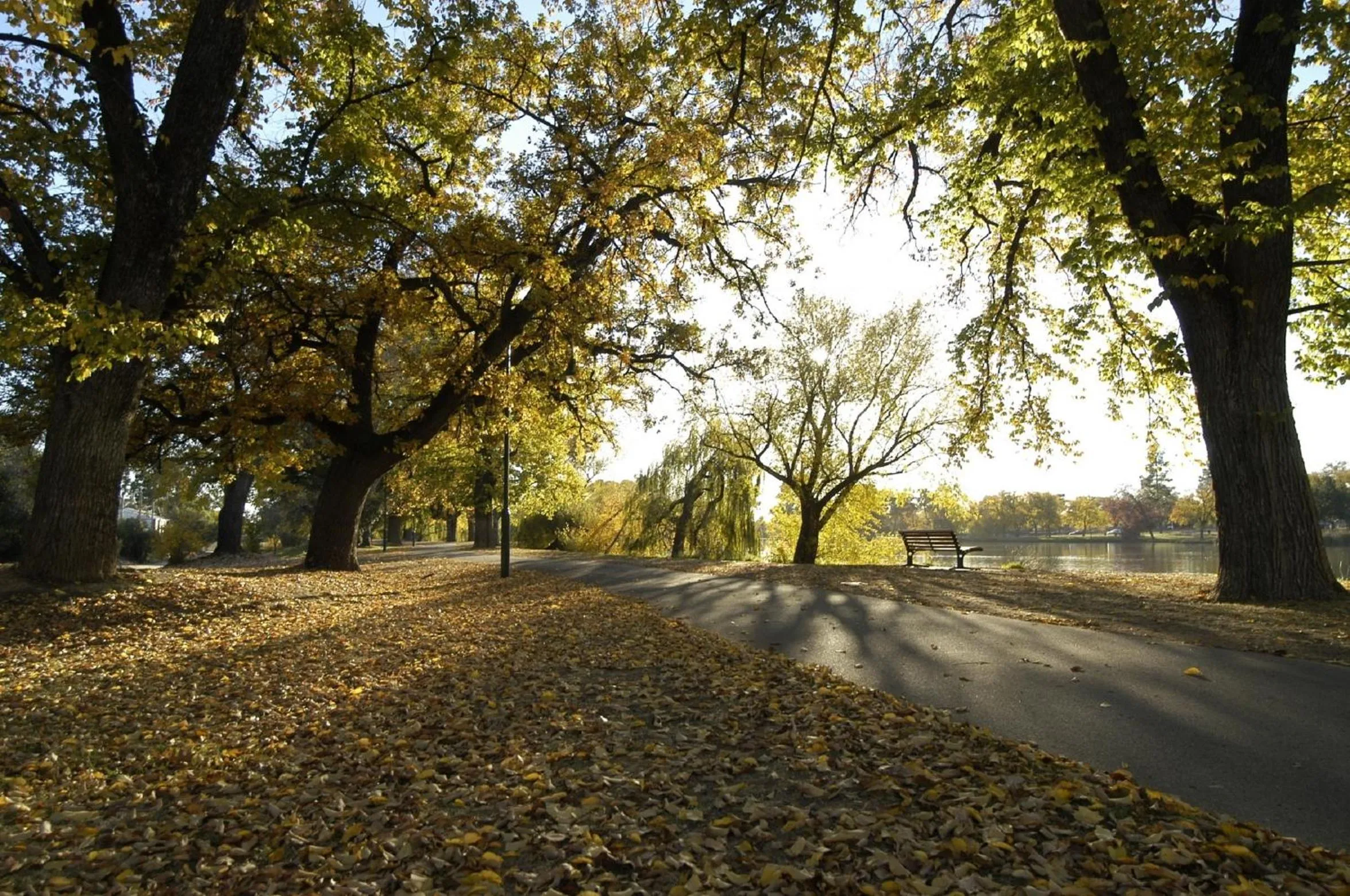Autumn in Tea House Motor Inn