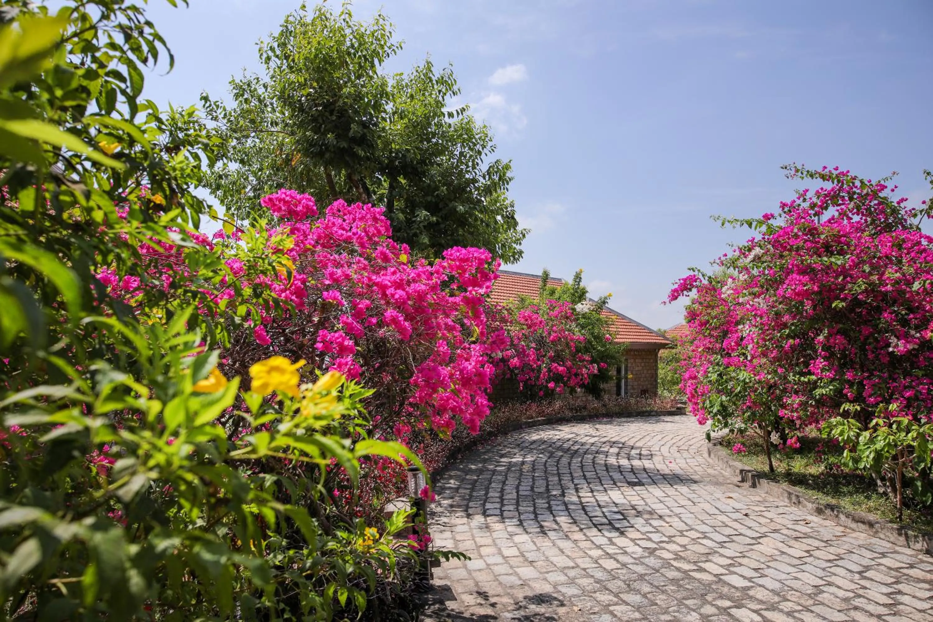 View (from property/room) in Victoria Nui Sam Lodge