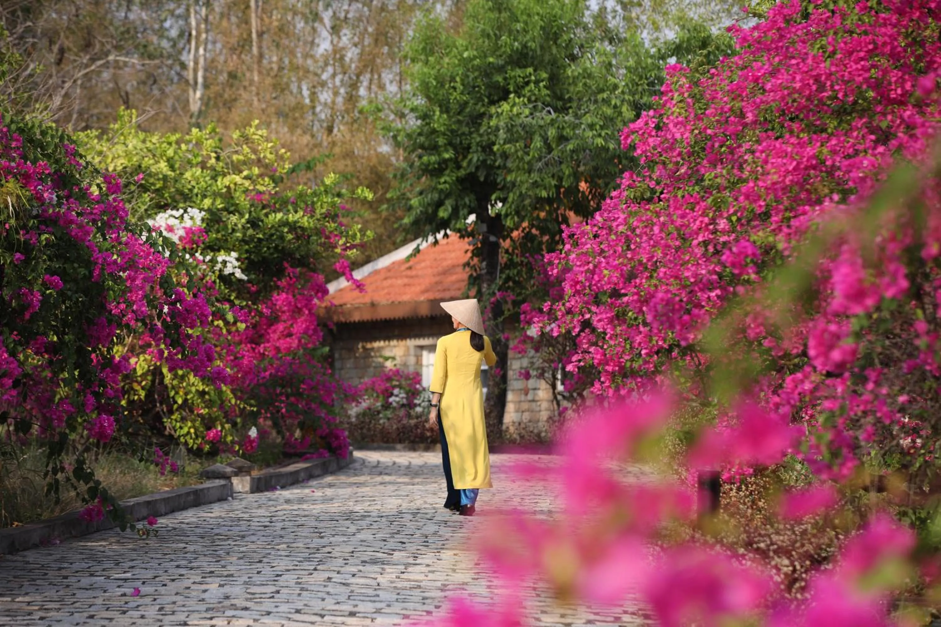 View (from property/room) in Victoria Nui Sam Lodge