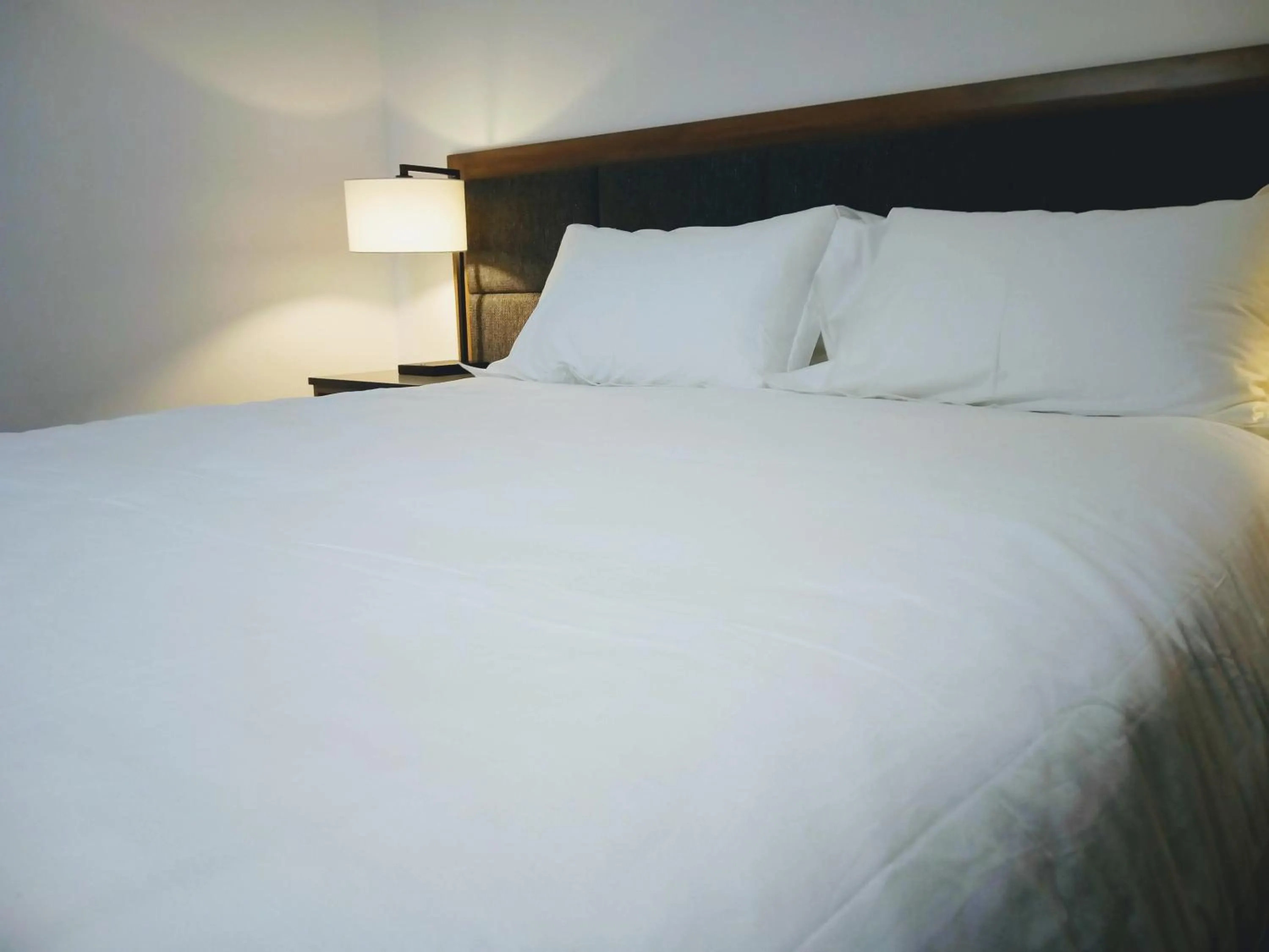 Bed in Winning Post Motor Inn