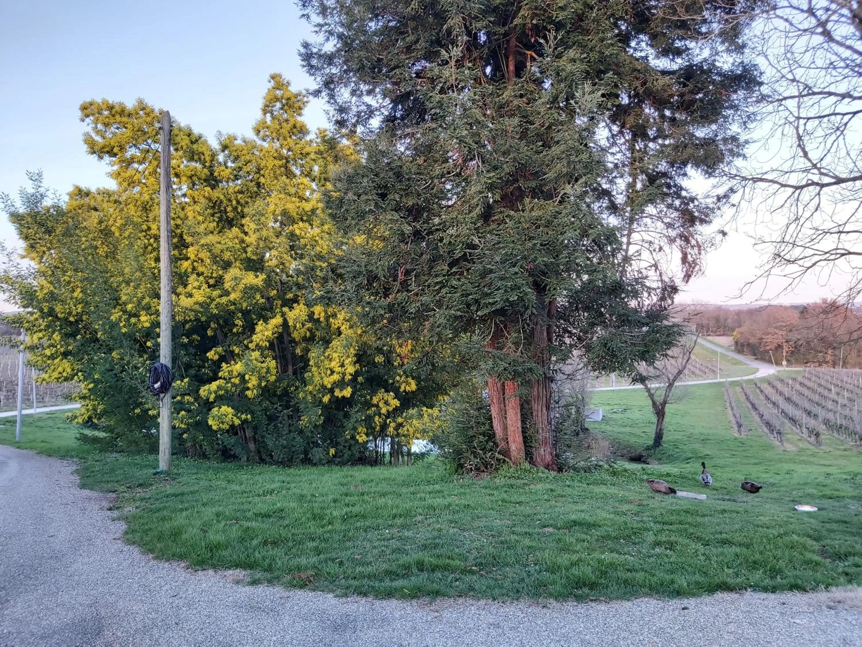 Garden view in domaine de codeval