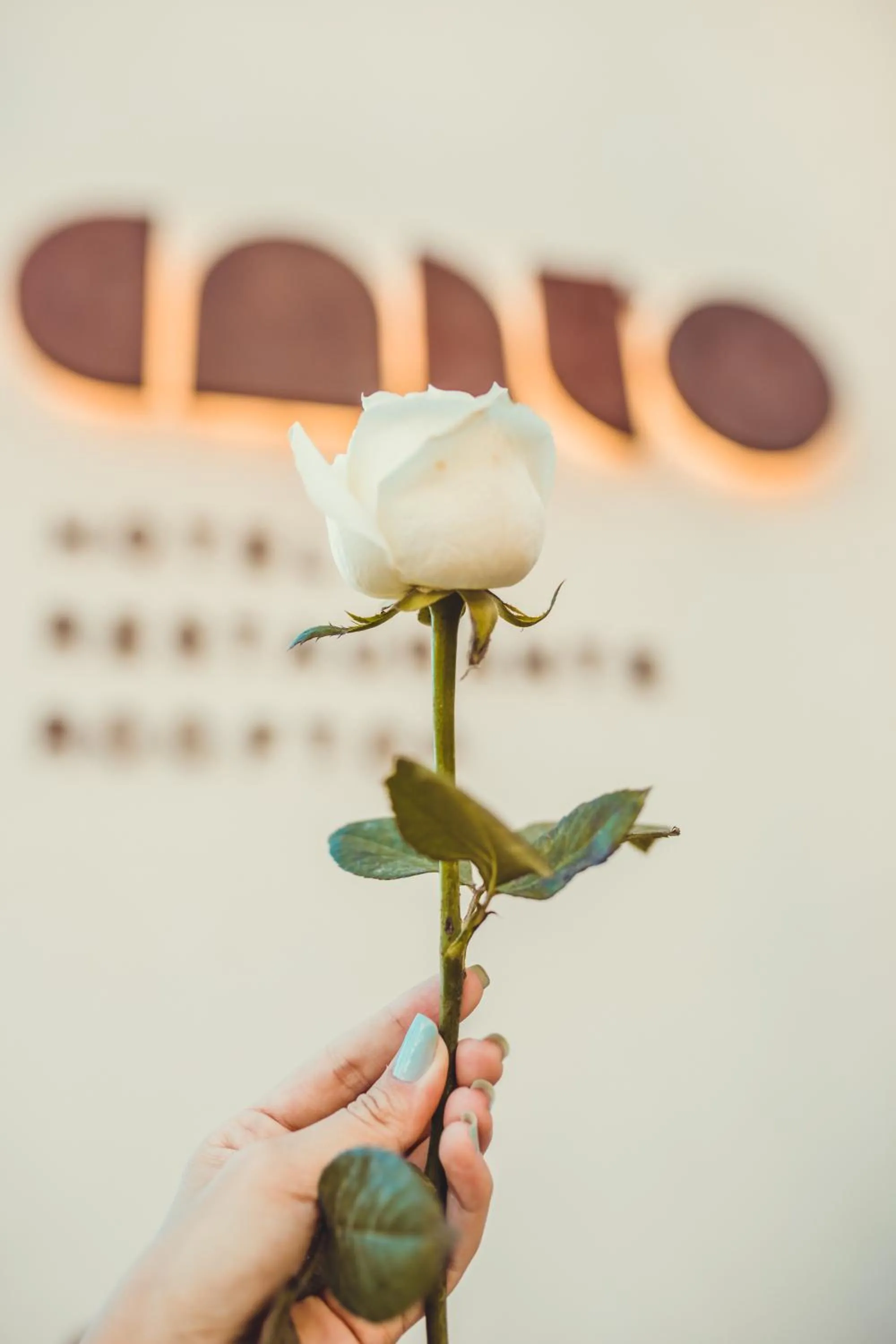 Decorative detail in Canto Hotel