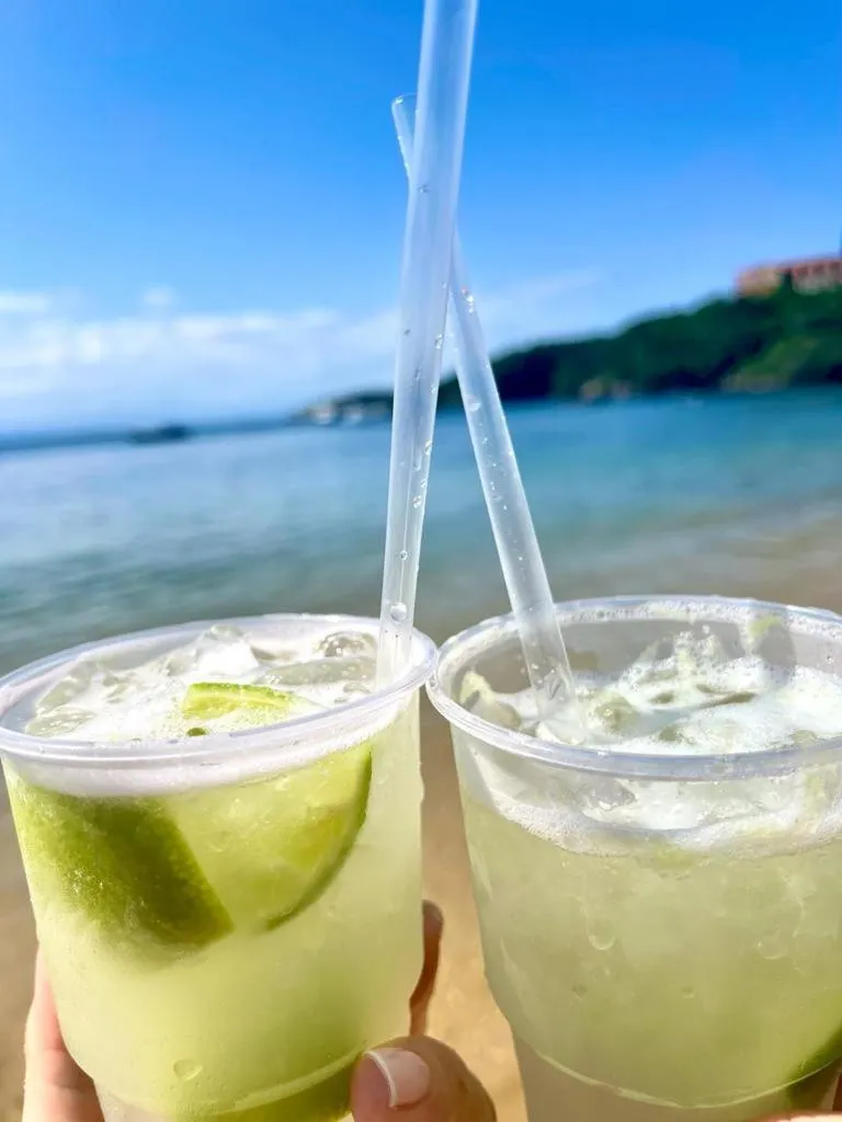 Alcoholic drinks in Villa Lulu Geribá
