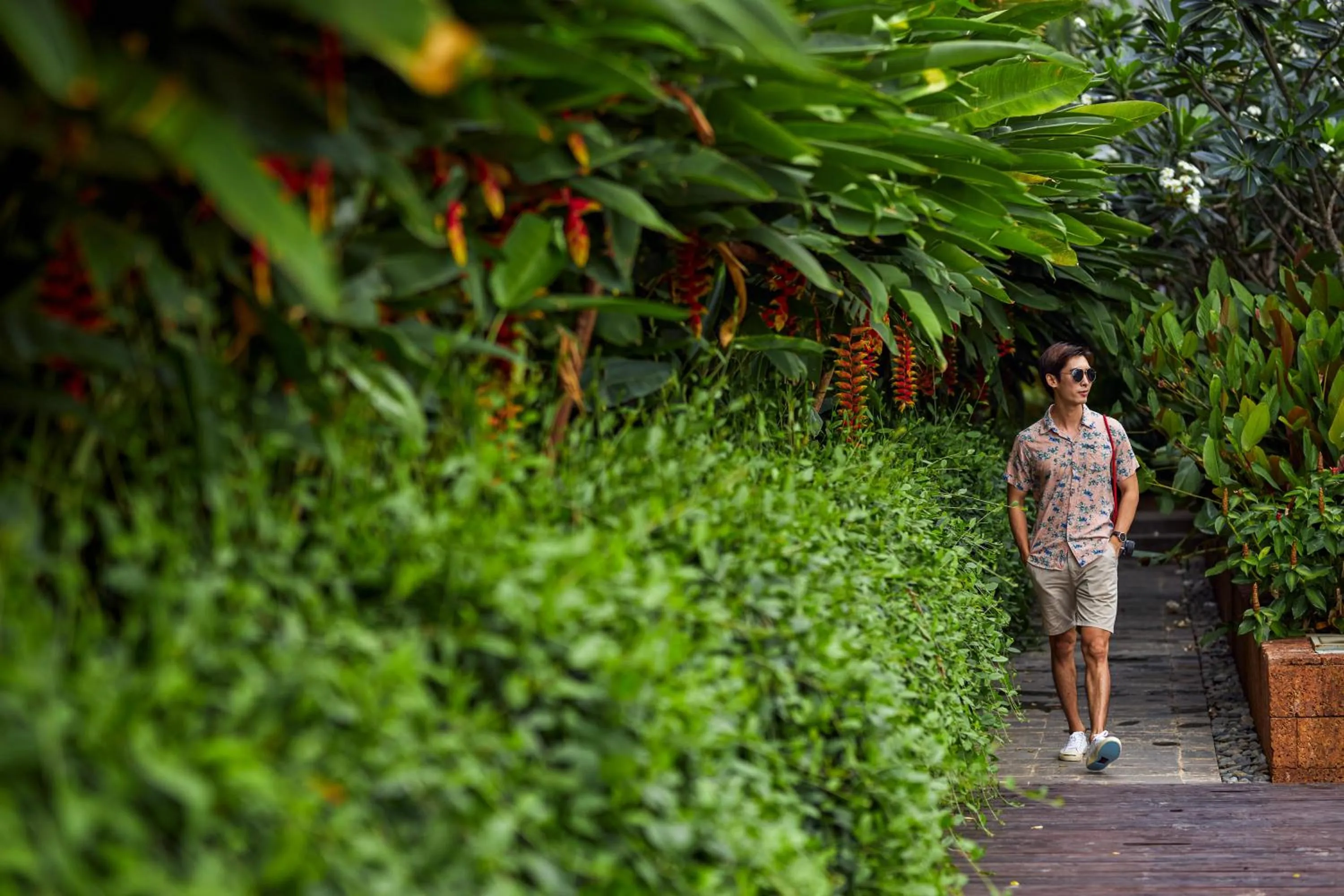 Activities in Angkor Green Gardens by Dara