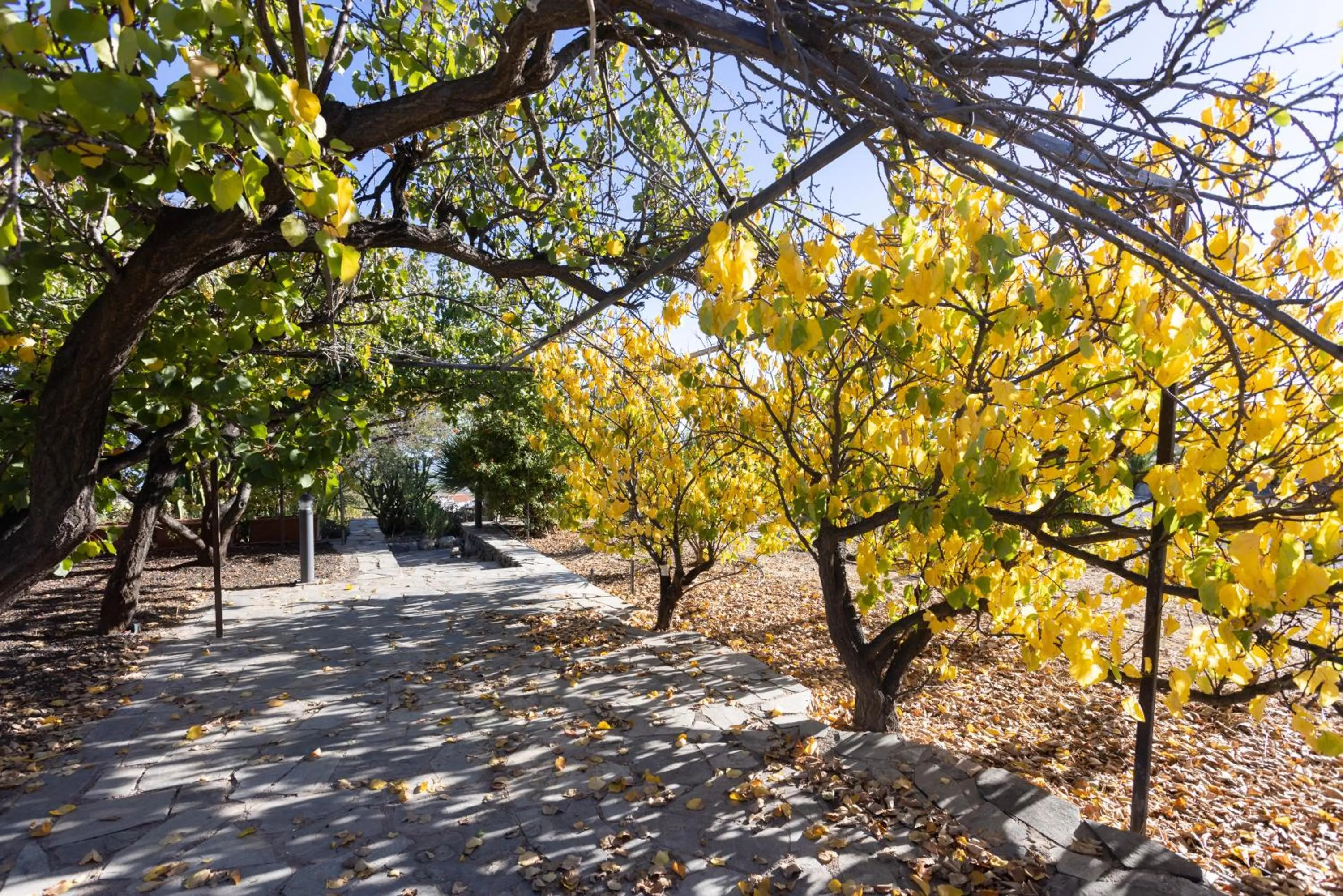 Natural landscape in Hotel Alta Montaña