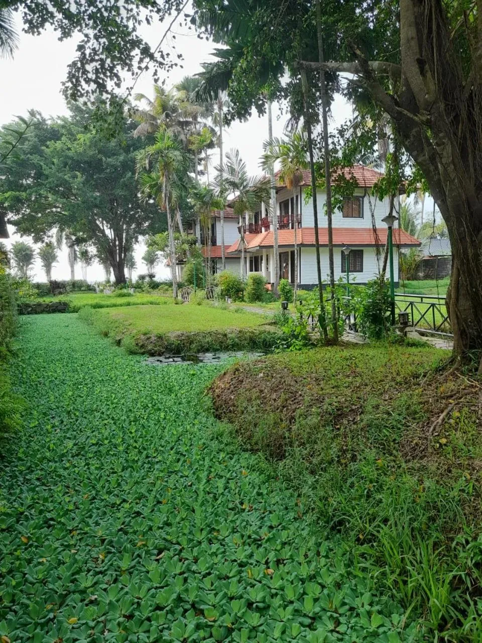 Property building in Doves Goldfieldd Lake Resort