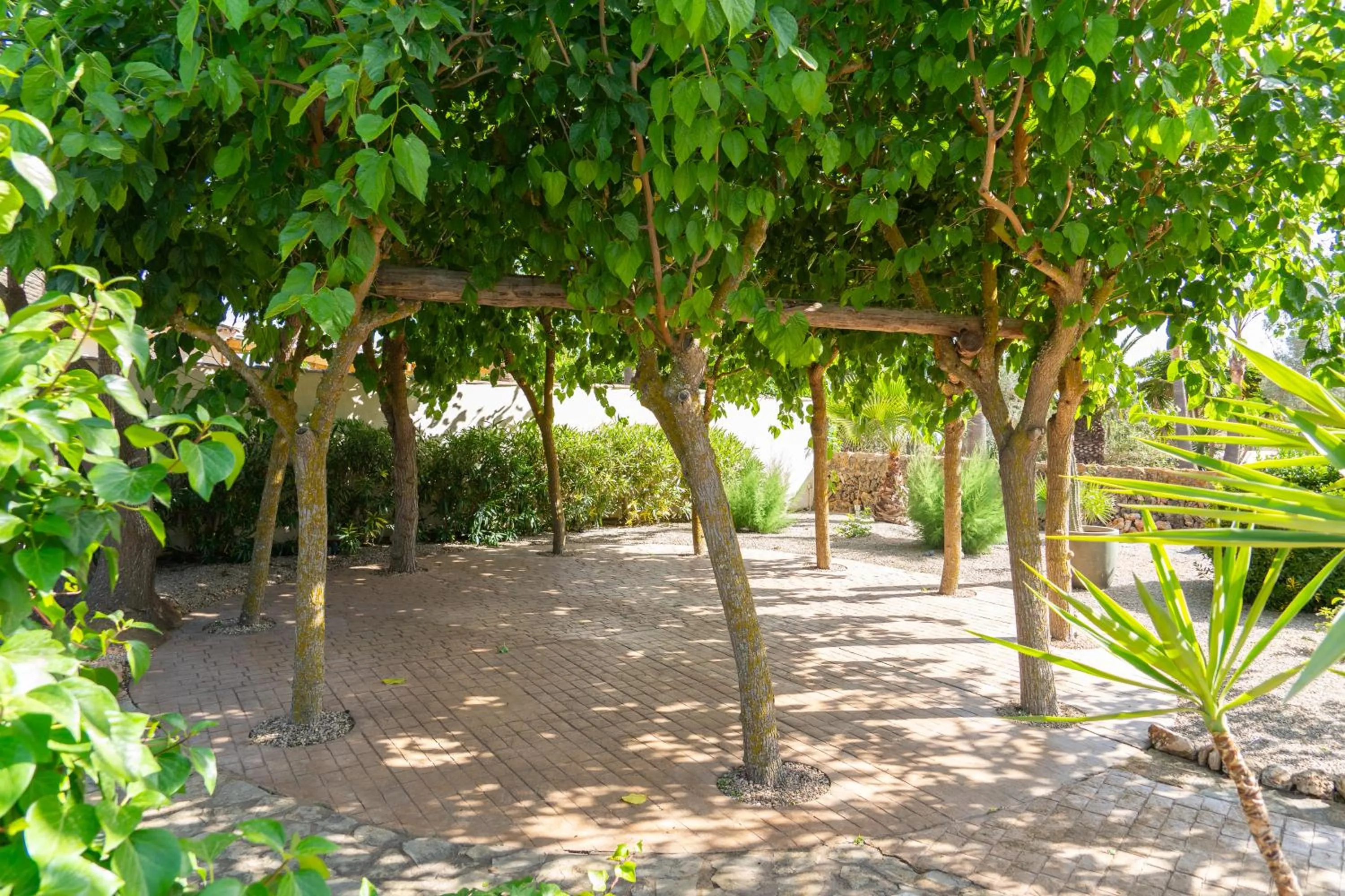 Garden in Finca Amapola - Agrotourismus