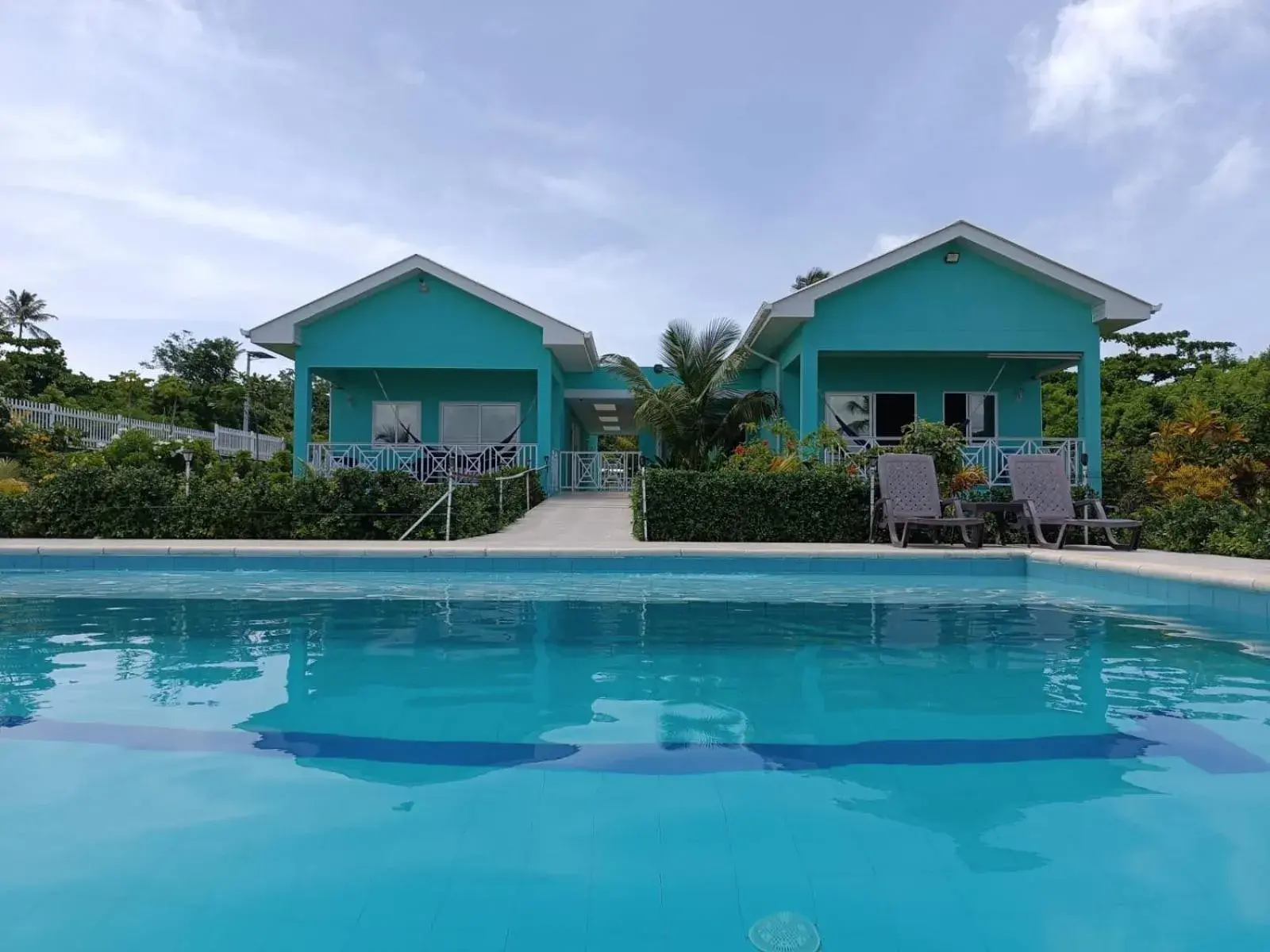 Blue Lizard House Blue Lizard House