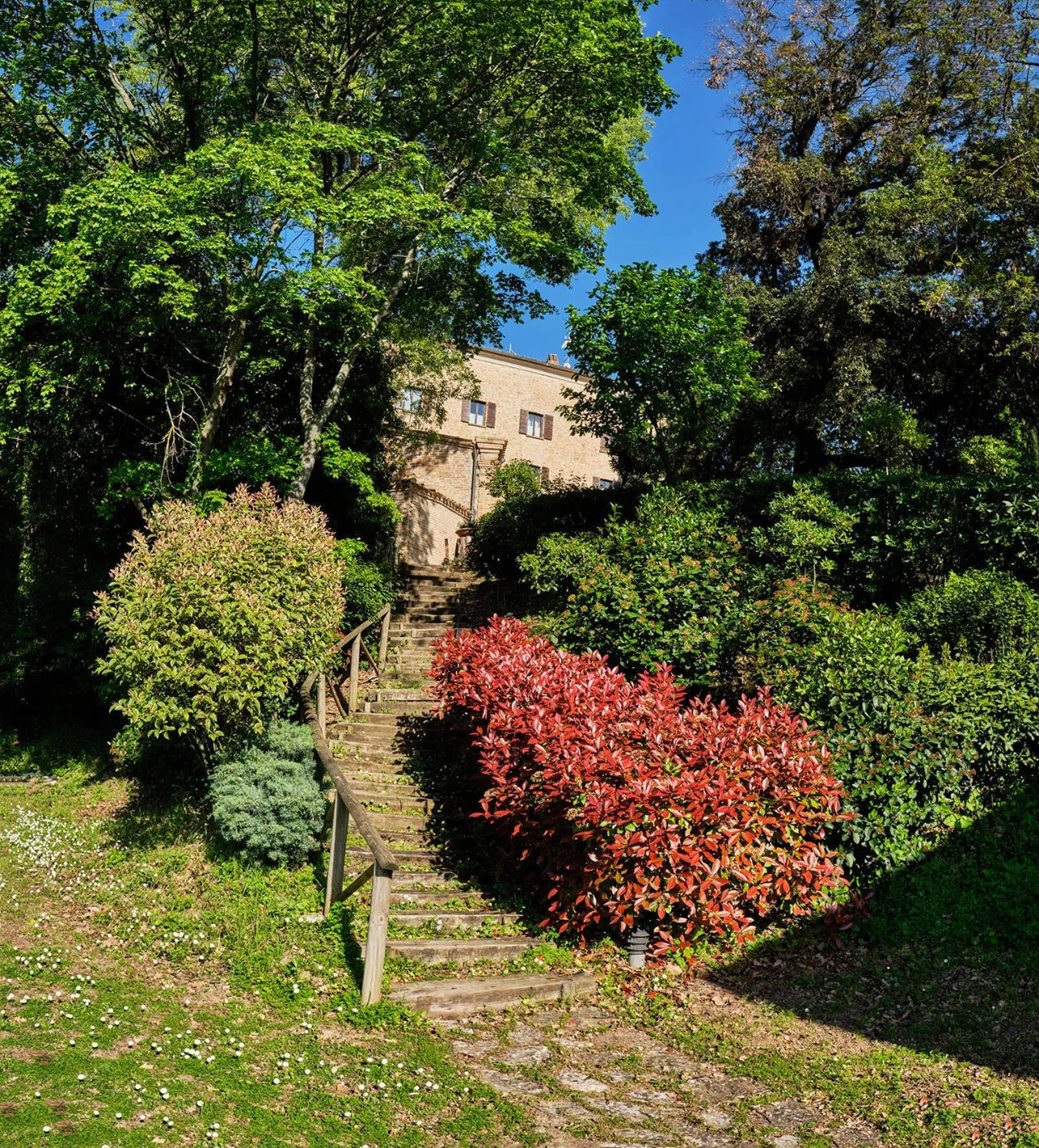 Garden in Palazzo Viviani - Castello di Montegridolfo