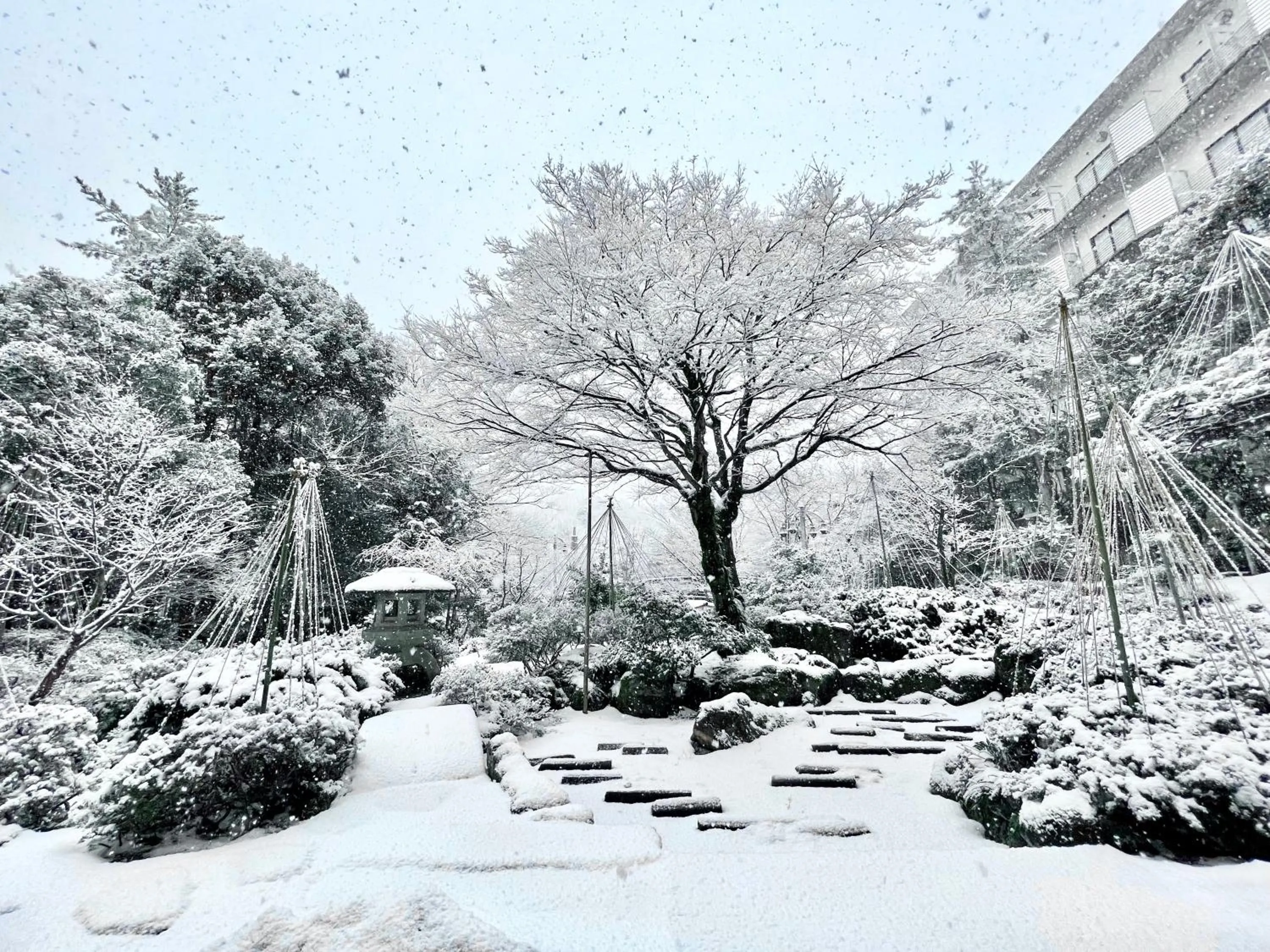 Garden in Manten no Tsujinoya