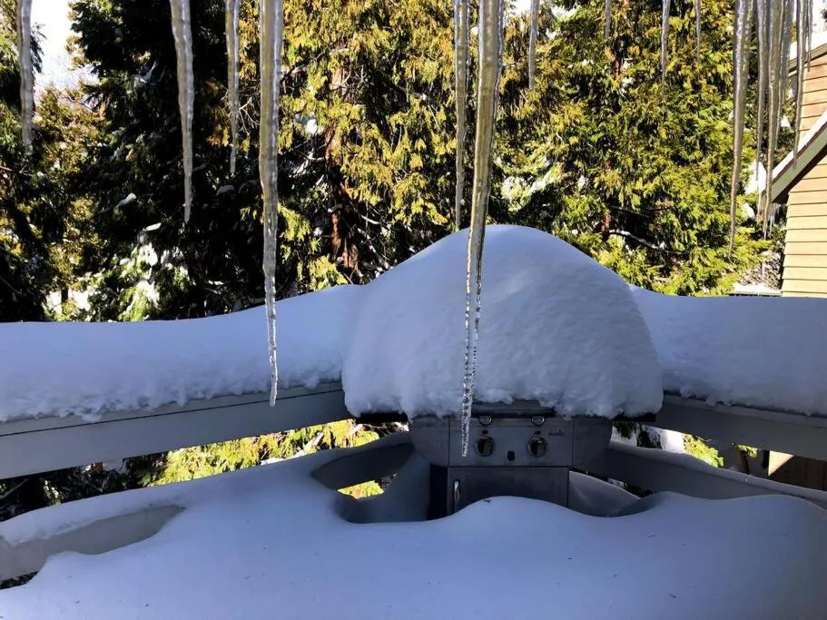 Lake house Cabin - Lake Arrowhead