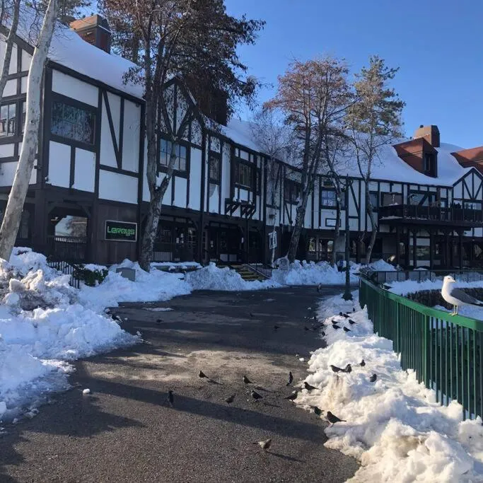 Lake house Cabin - Lake Arrowhead