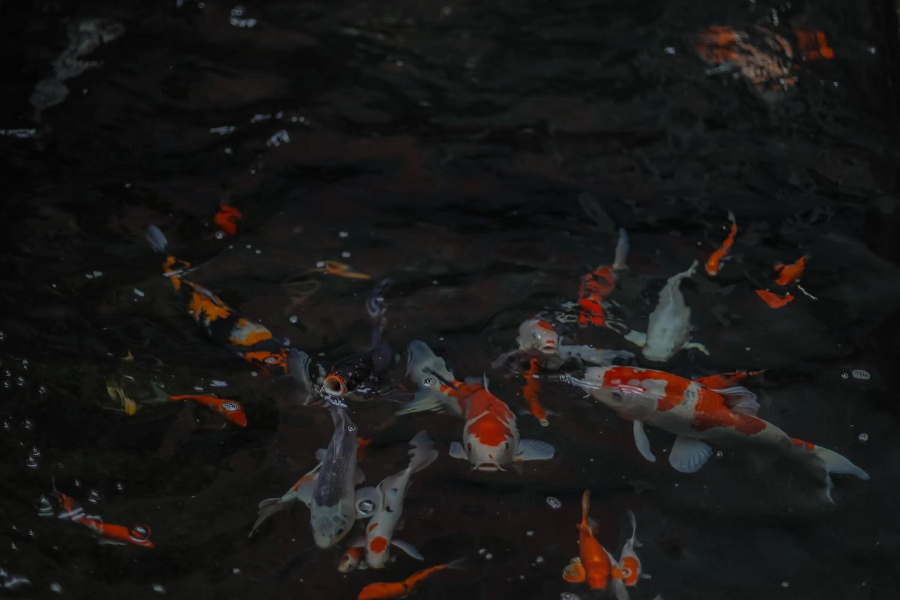 Other in RedDoorz Plus At Swun Stay Raya Langsep