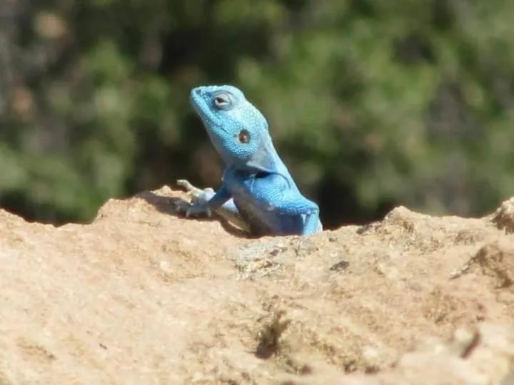 Natural landscape in Aitch Boutique Hotel - an LIH Hotel