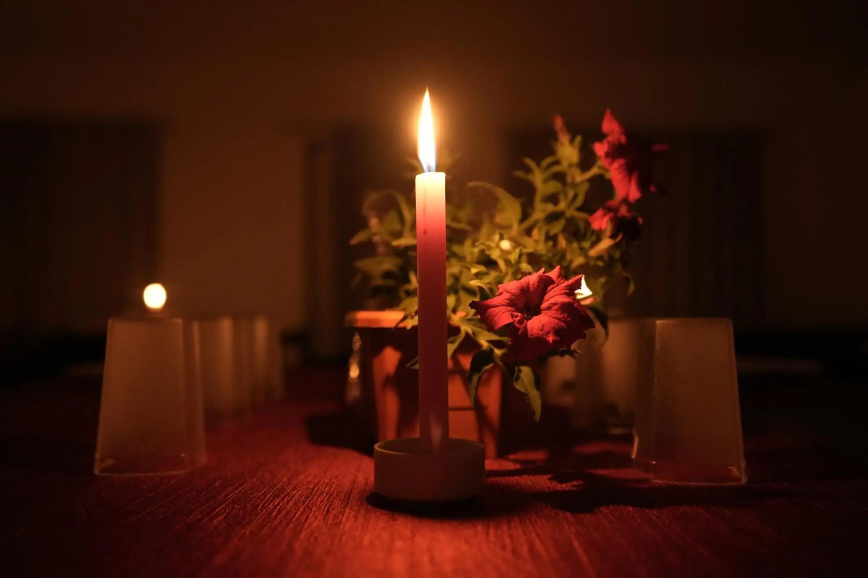 Restaurant/places to eat in GRAND GANPAT Restaurant/places to eat in GRAND GANPAT