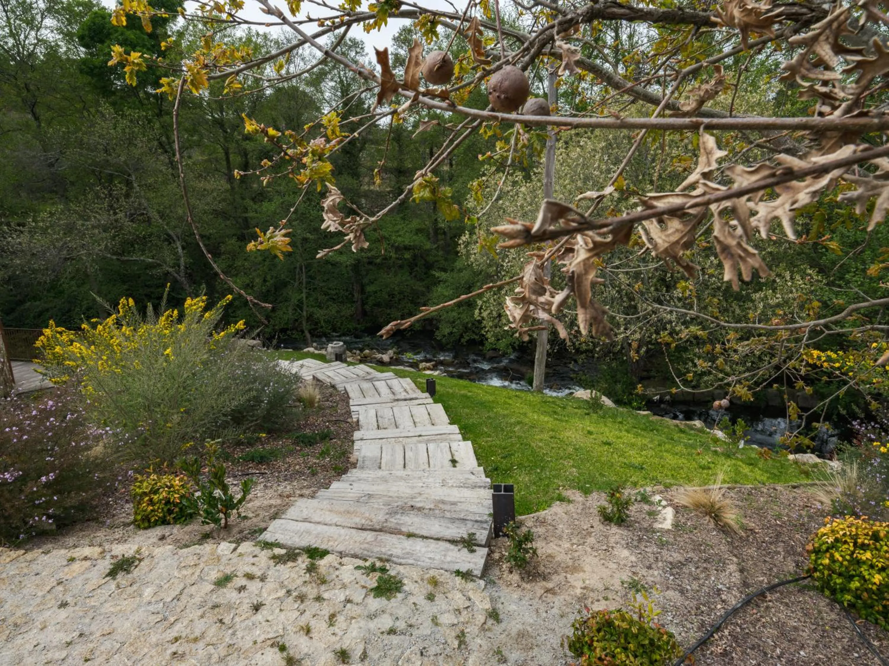 Day in Lavandeira Douro Nature & Wellness