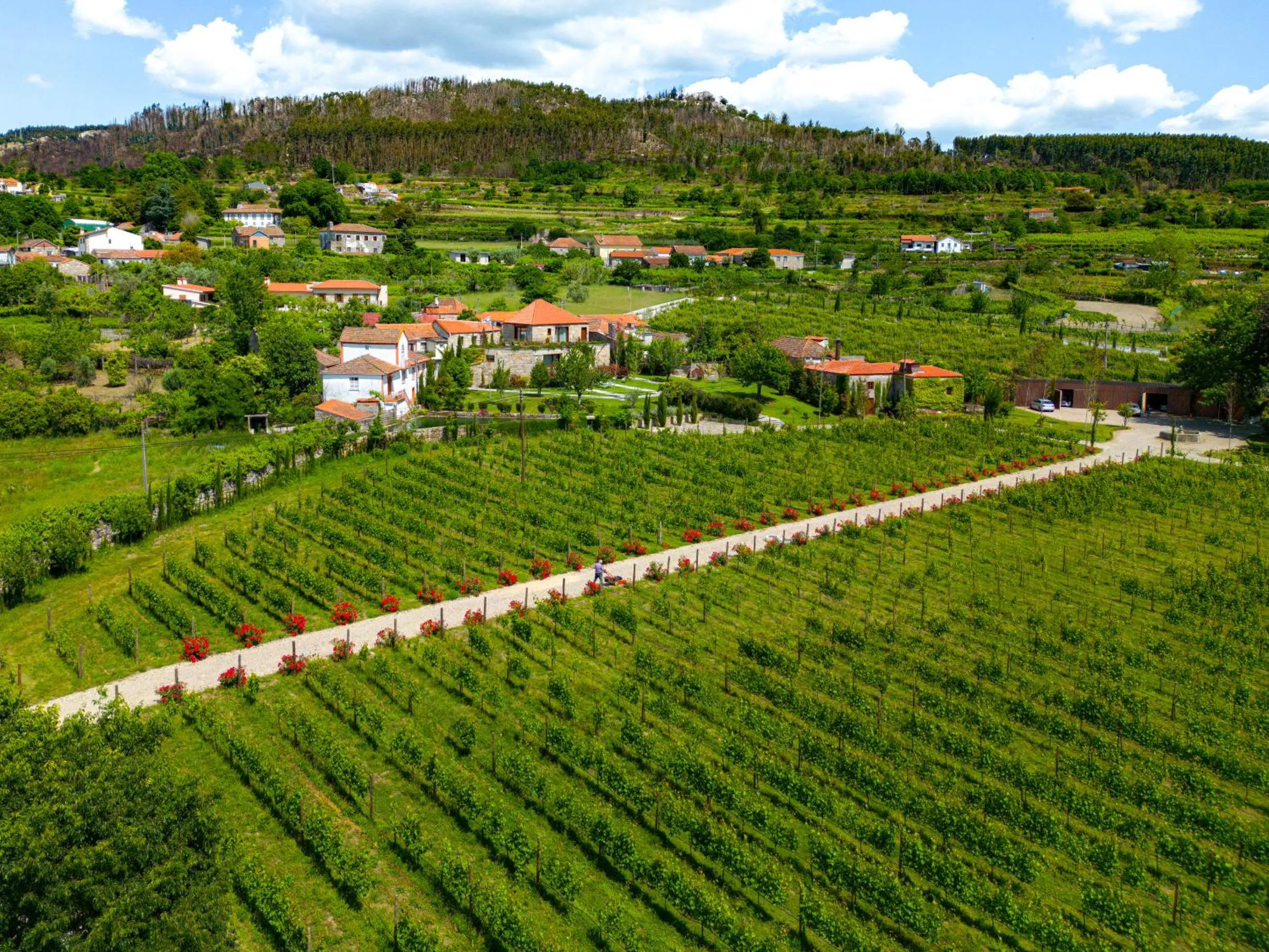 Bird's eye view in Lavandeira Douro Nature & Wellness
