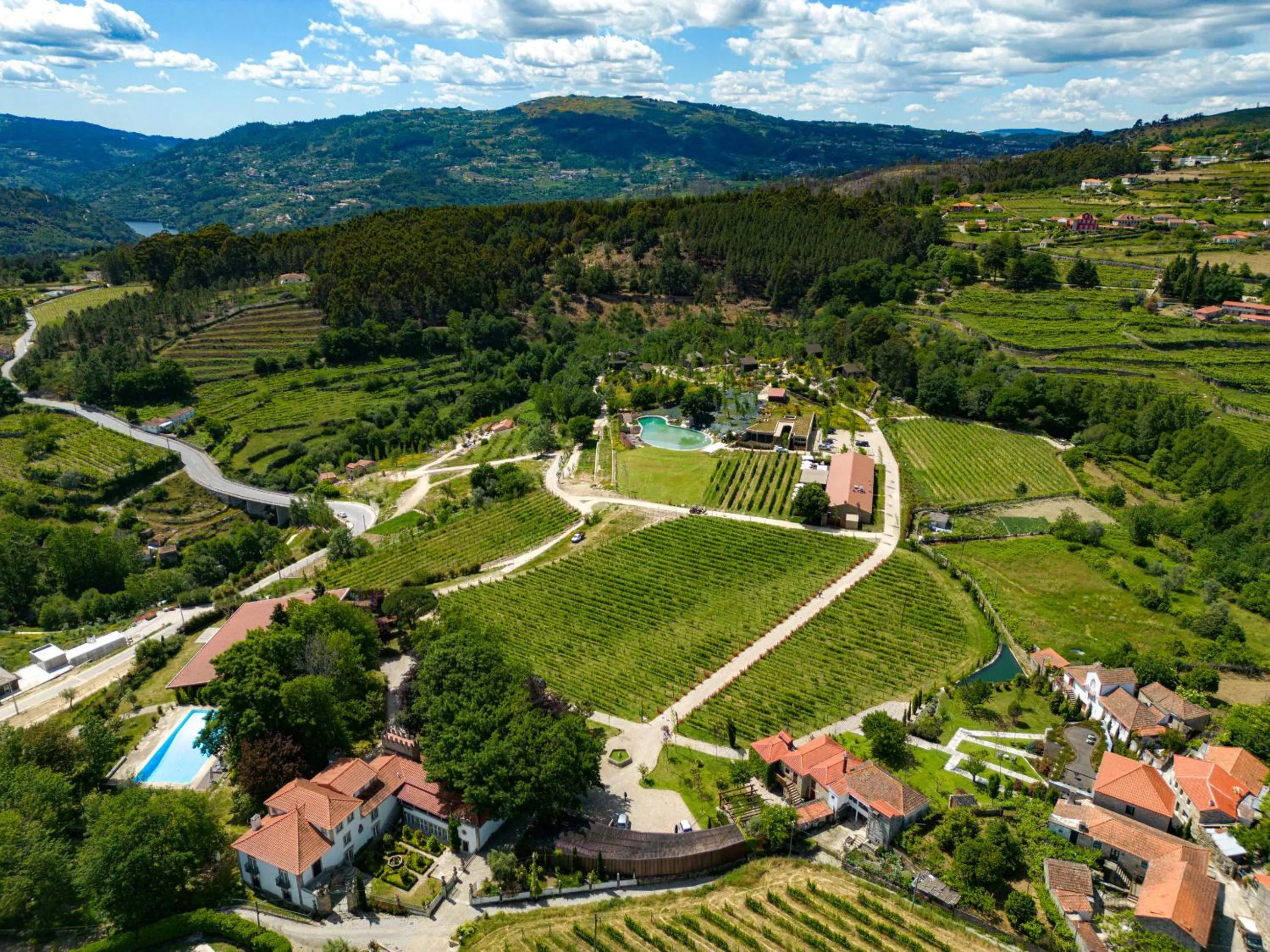Bird's eye view in Lavandeira Douro Nature & Wellness