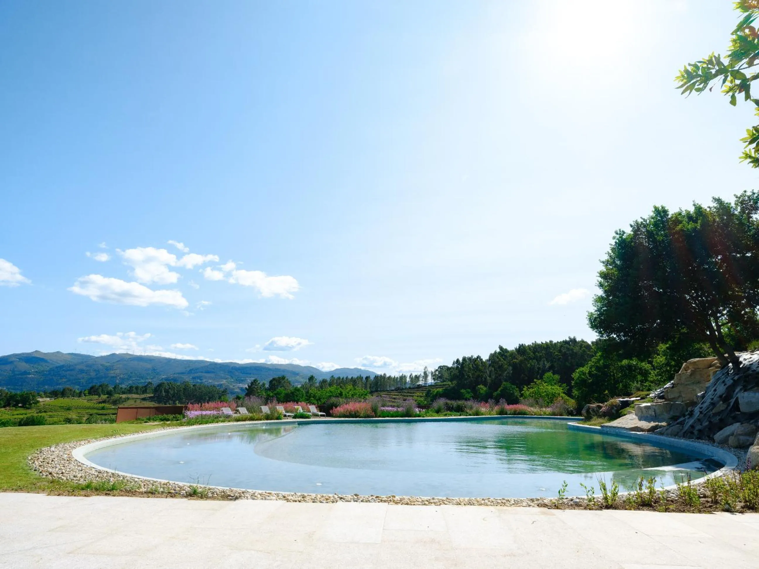 Natural landscape in Lavandeira Douro Nature & Wellness