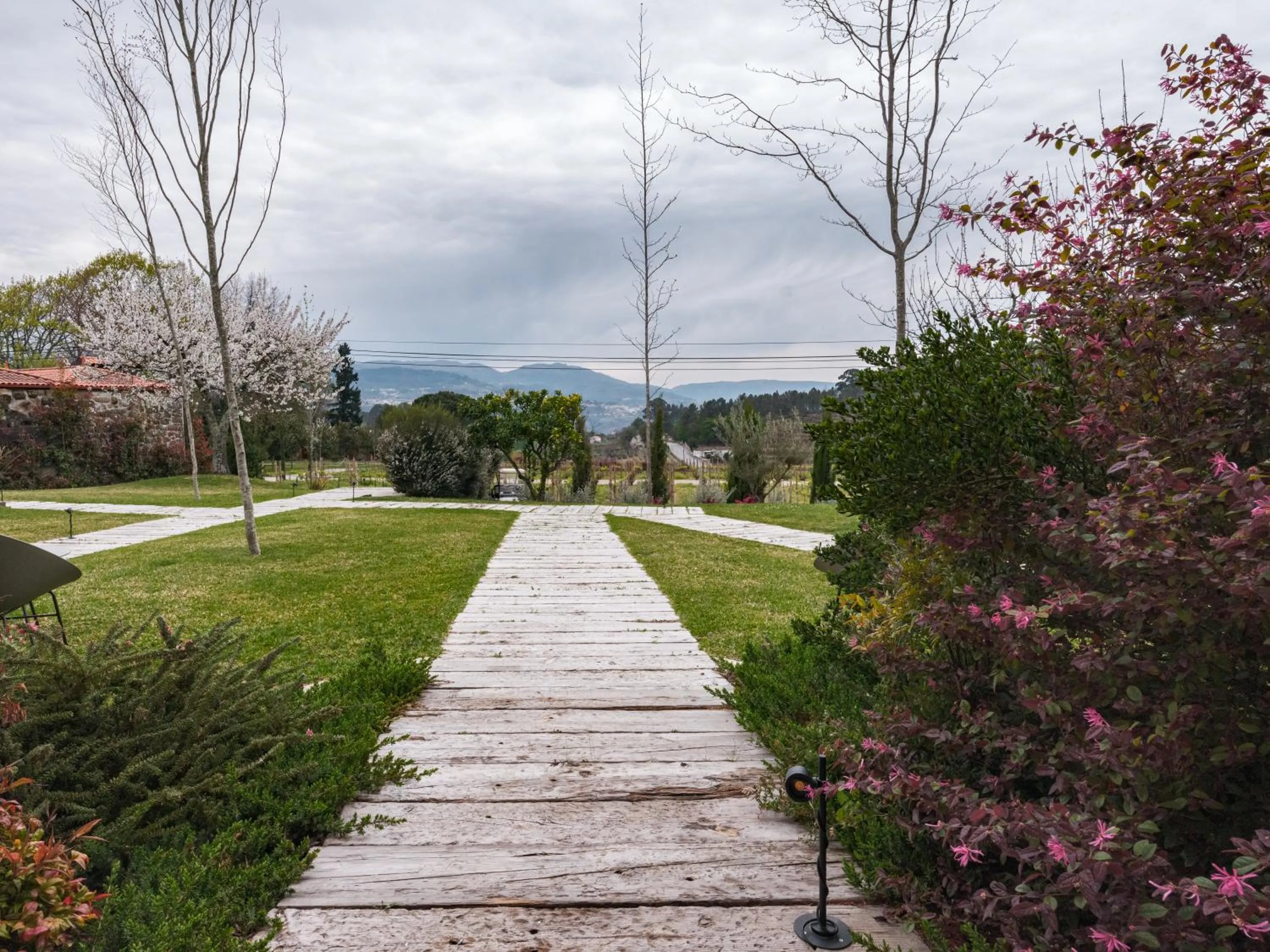 Garden view in Lavandeira Douro Nature & Wellness
