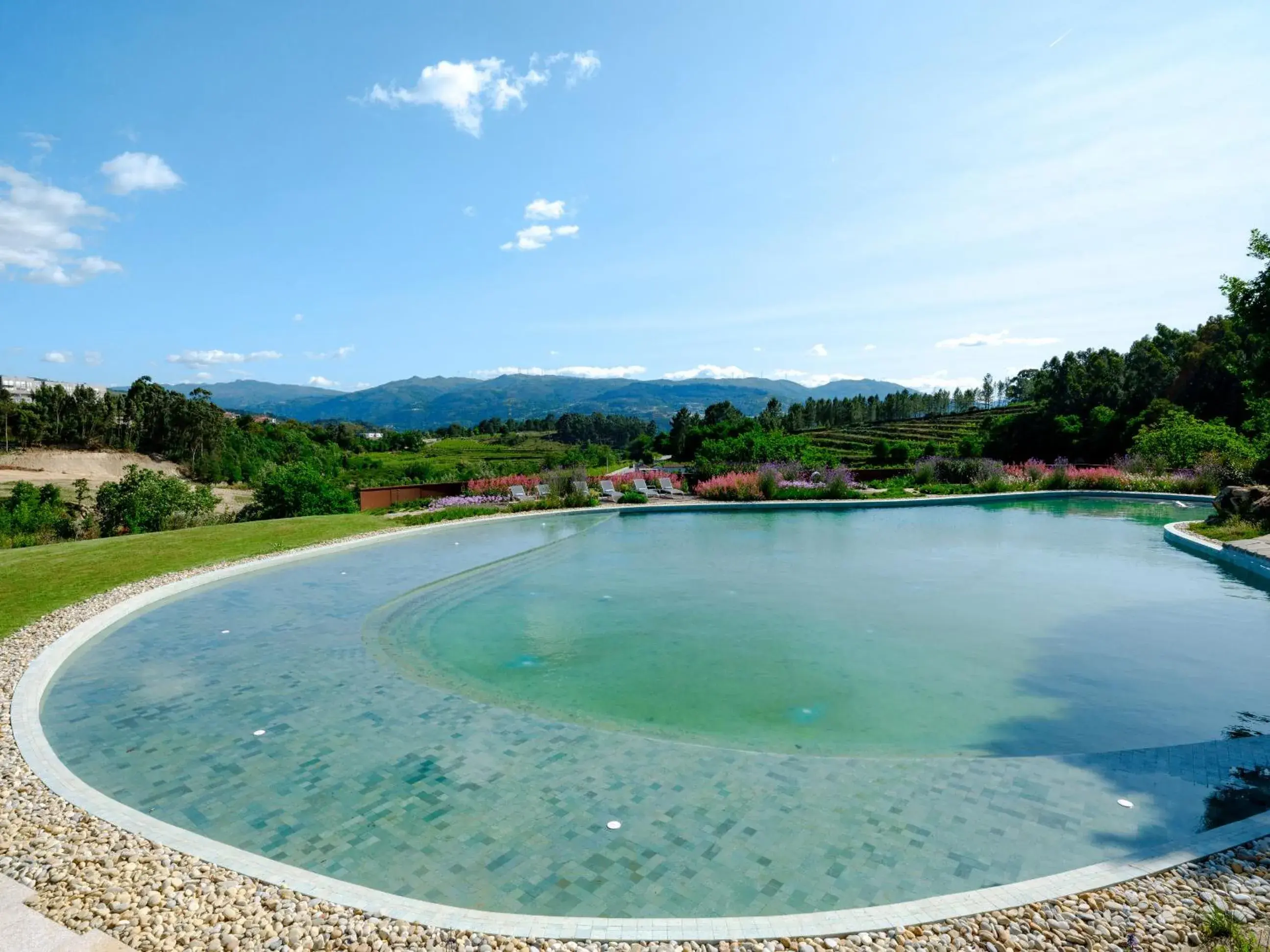Swimming pool in Lavandeira Douro Nature & Wellness Swimming pool in Lavandeira Douro Nature & Wellness