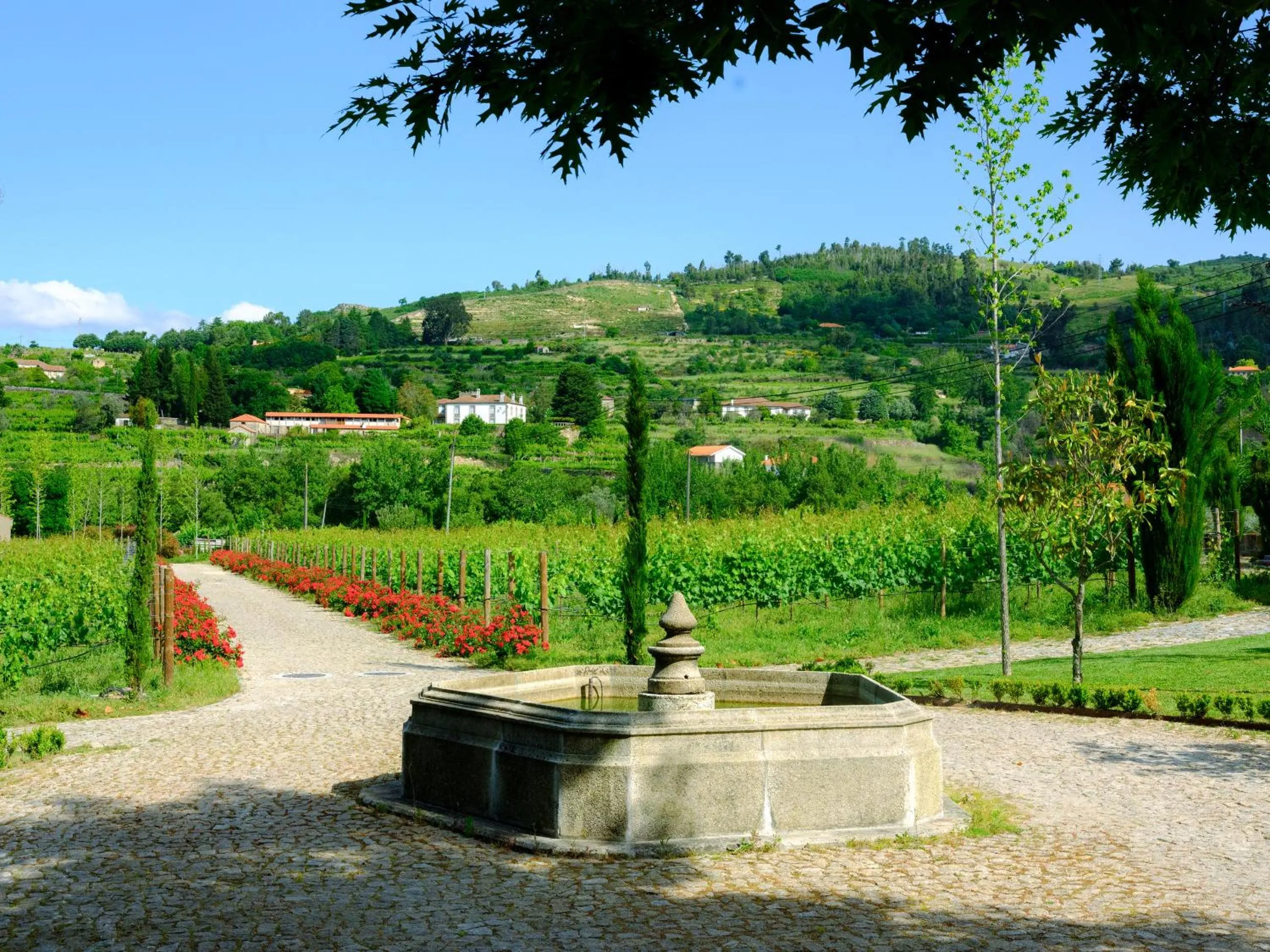 Natural landscape in Lavandeira Douro Nature & Wellness