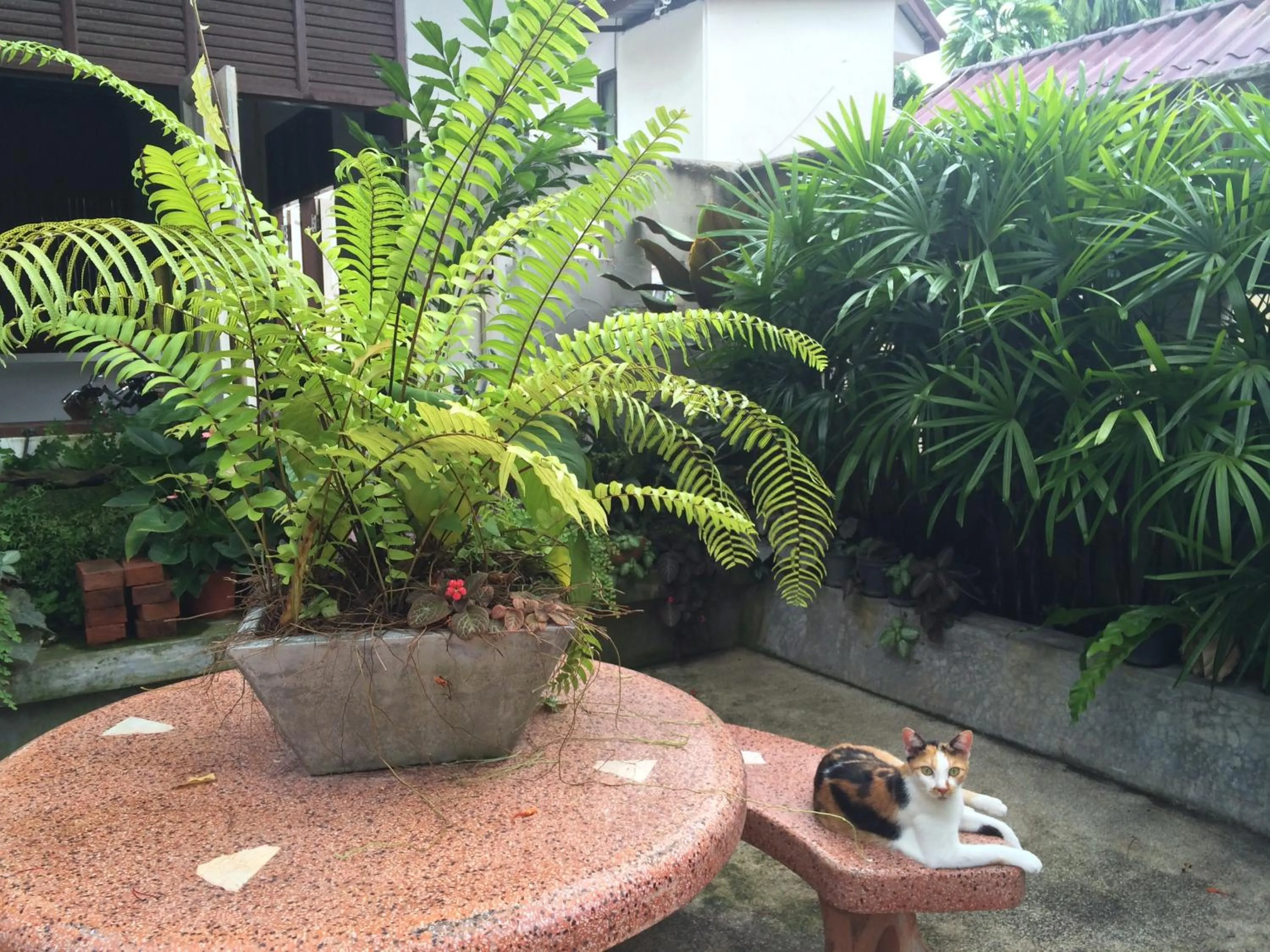 Facade/entrance in Fern House Retreat