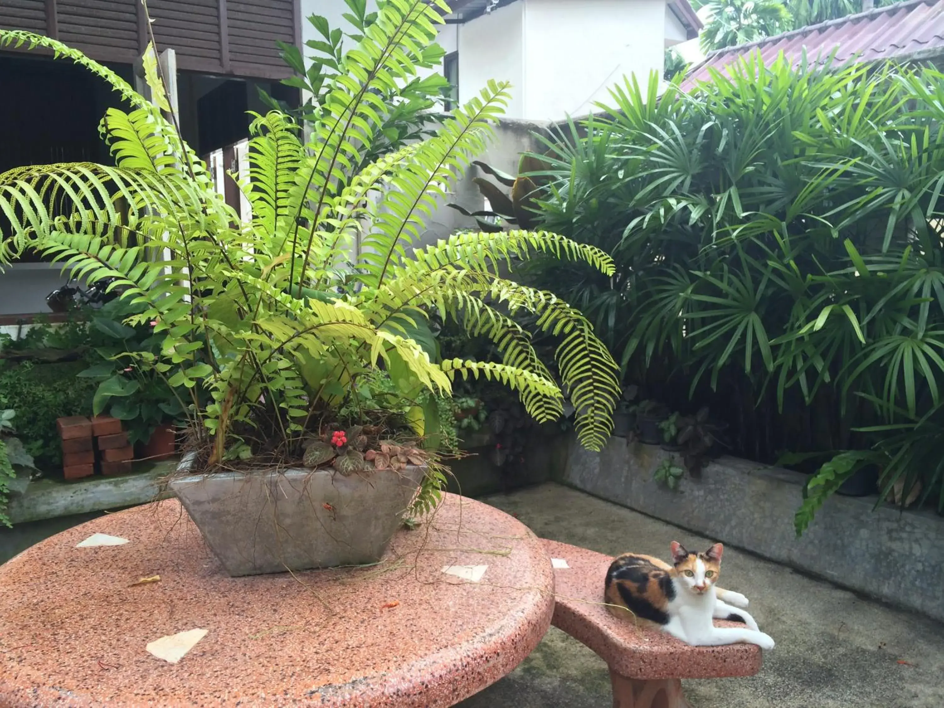 Facade/entrance in Fern House Retreat Facade/entrance in Fern House Retreat