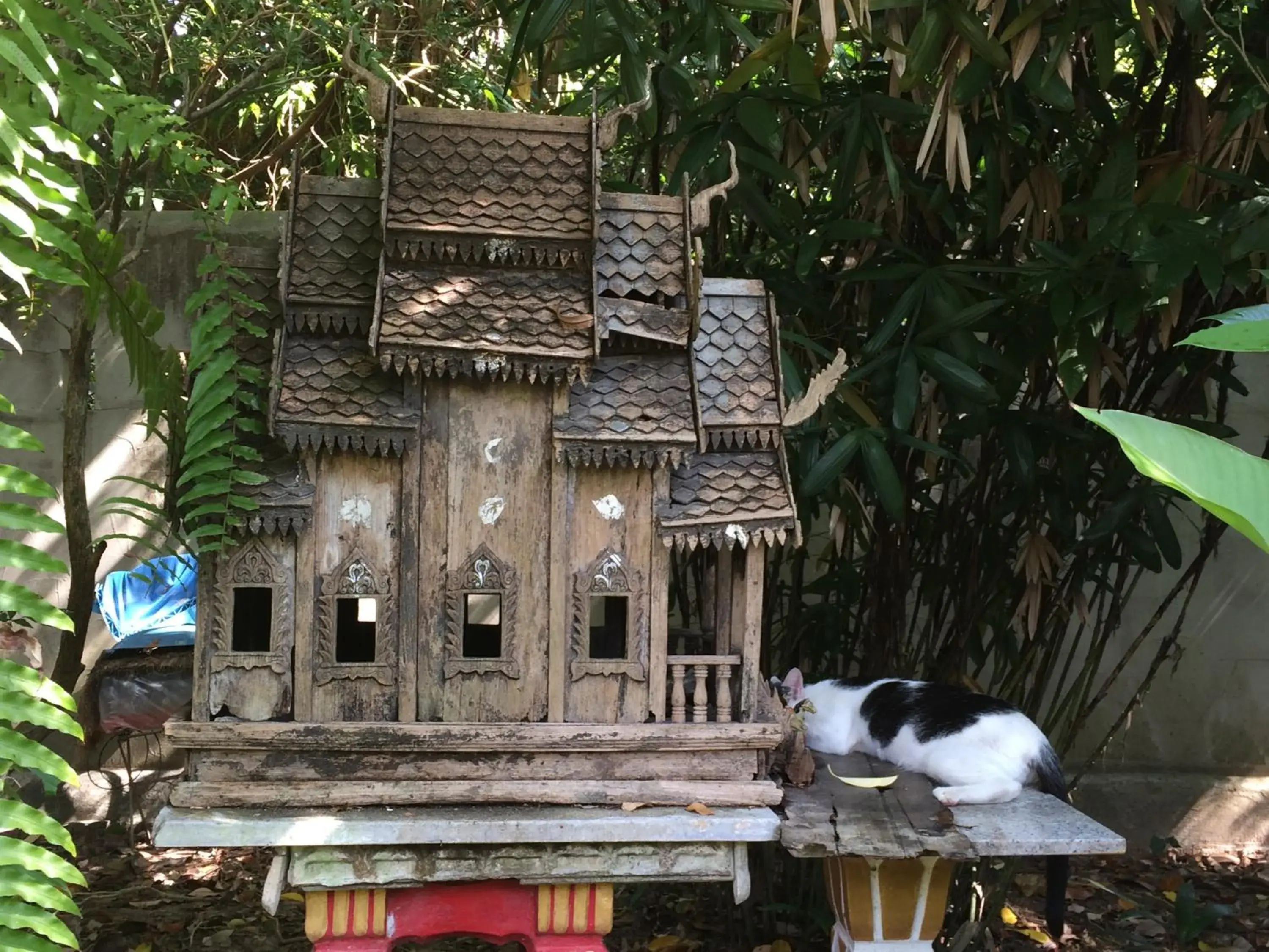 Pets in Fern House Retreat Pets in Fern House Retreat