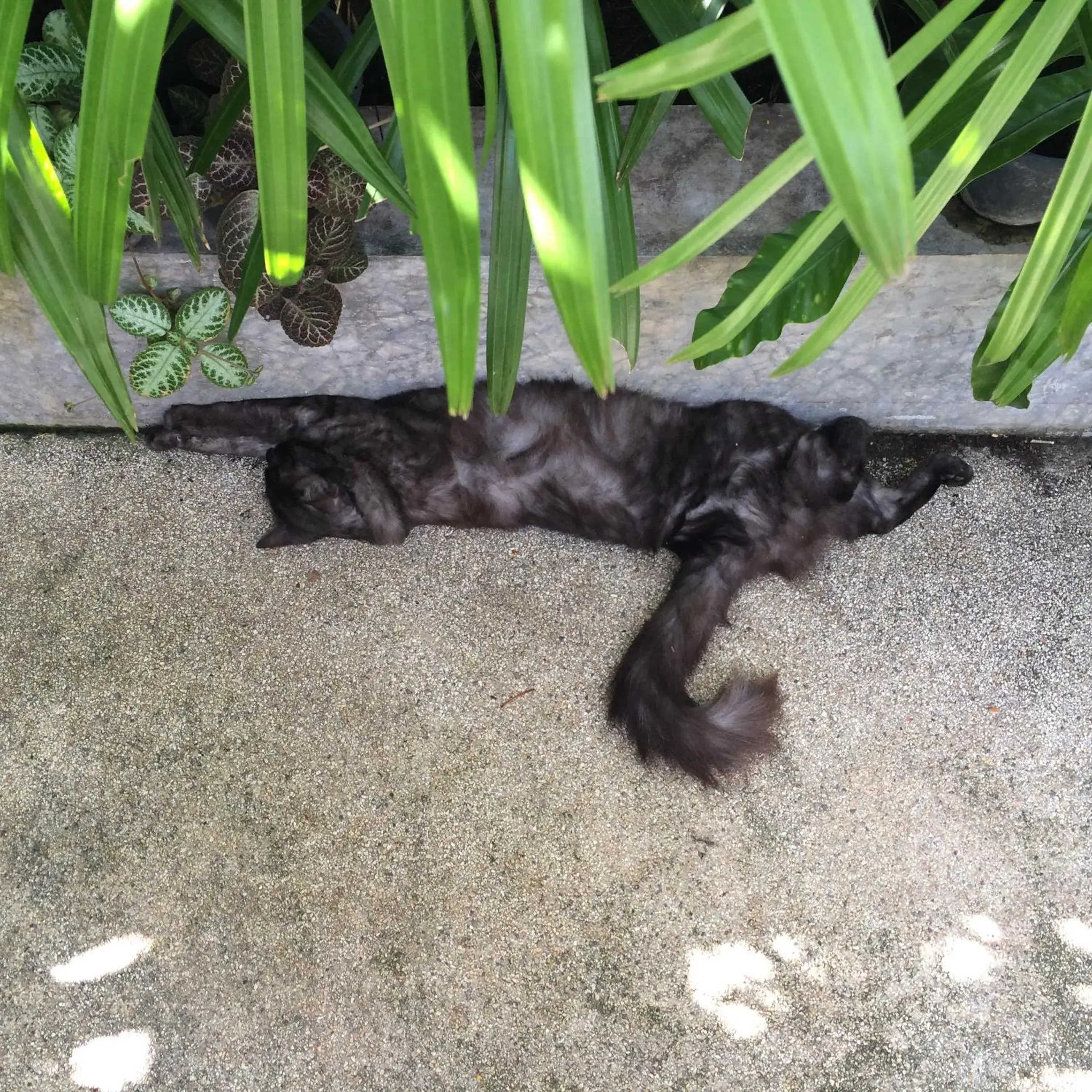 Facade/entrance in Fern House Retreat Facade/entrance in Fern House Retreat