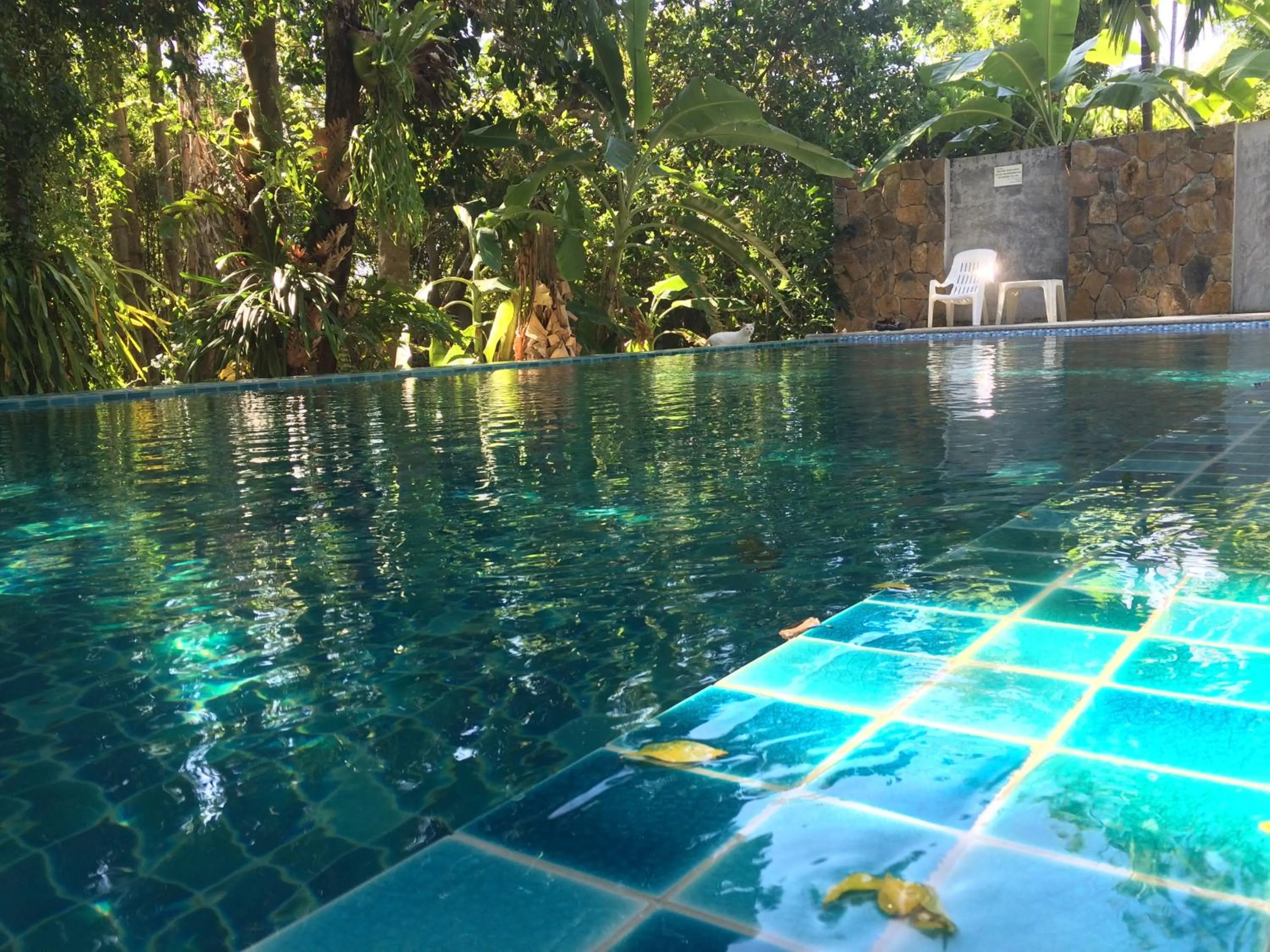 Swimming pool in Fern House Retreat