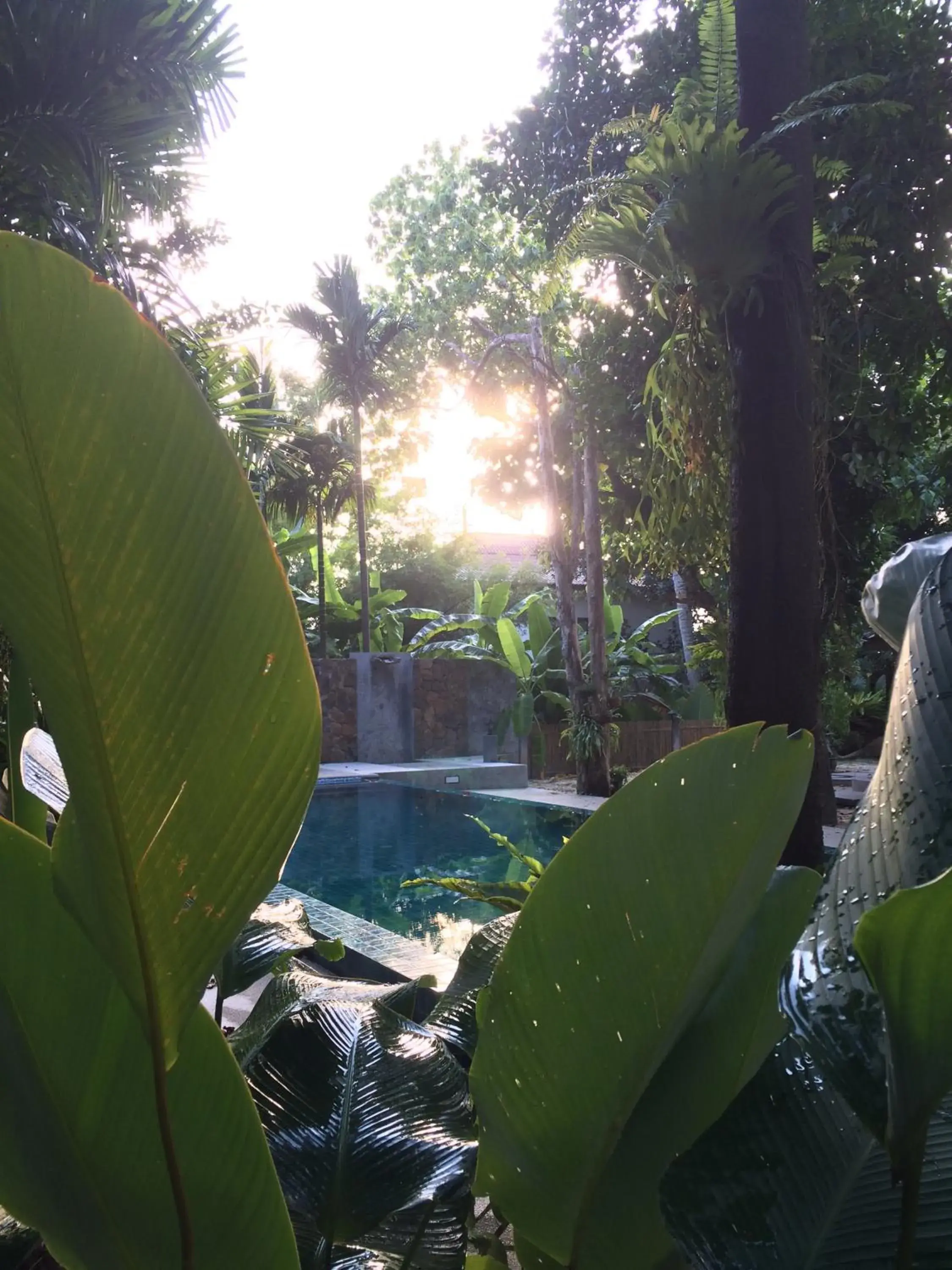 Swimming pool in Fern House Retreat Swimming pool in Fern House Retreat