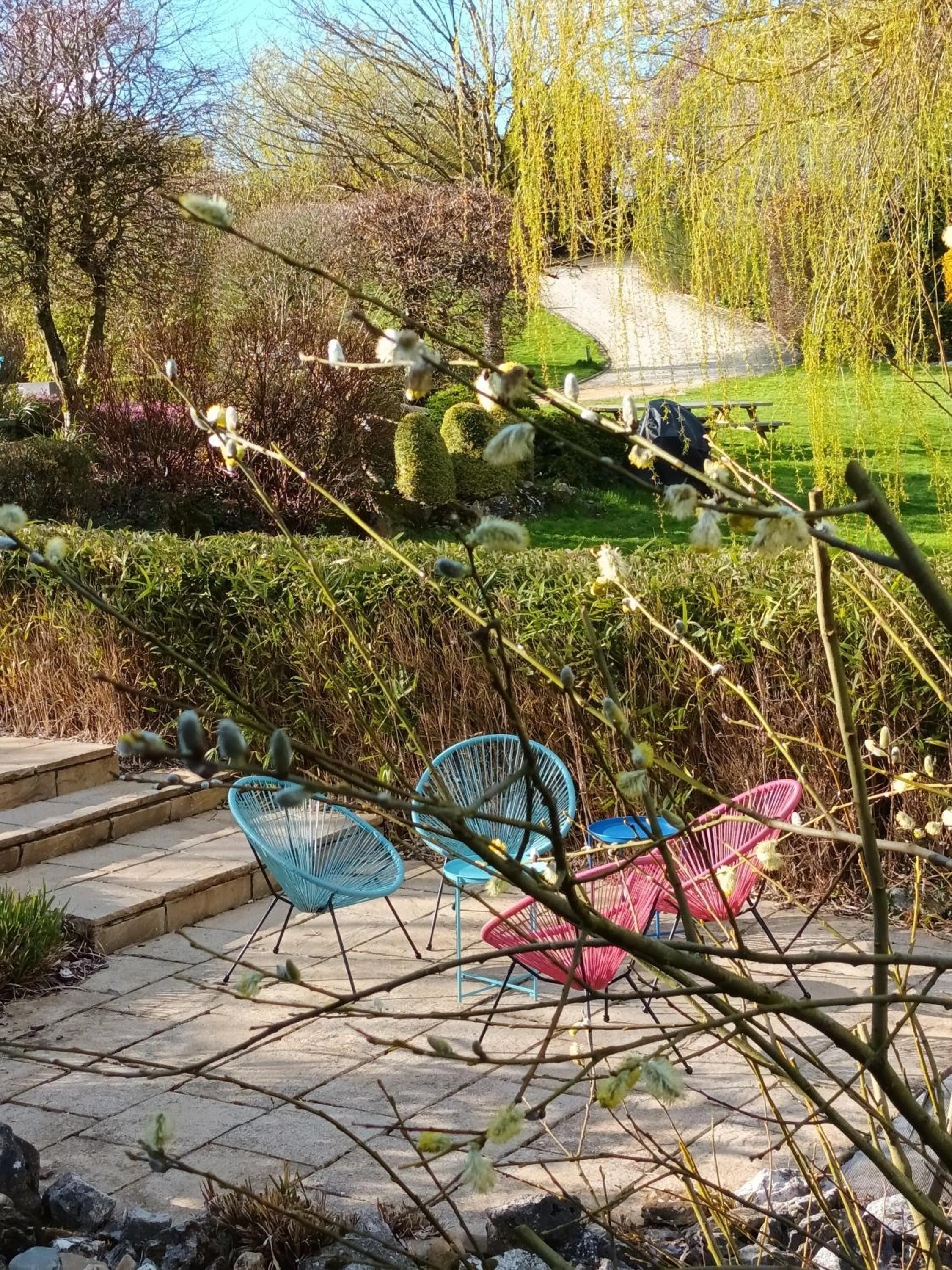 Garden in Au bout de mes rêves