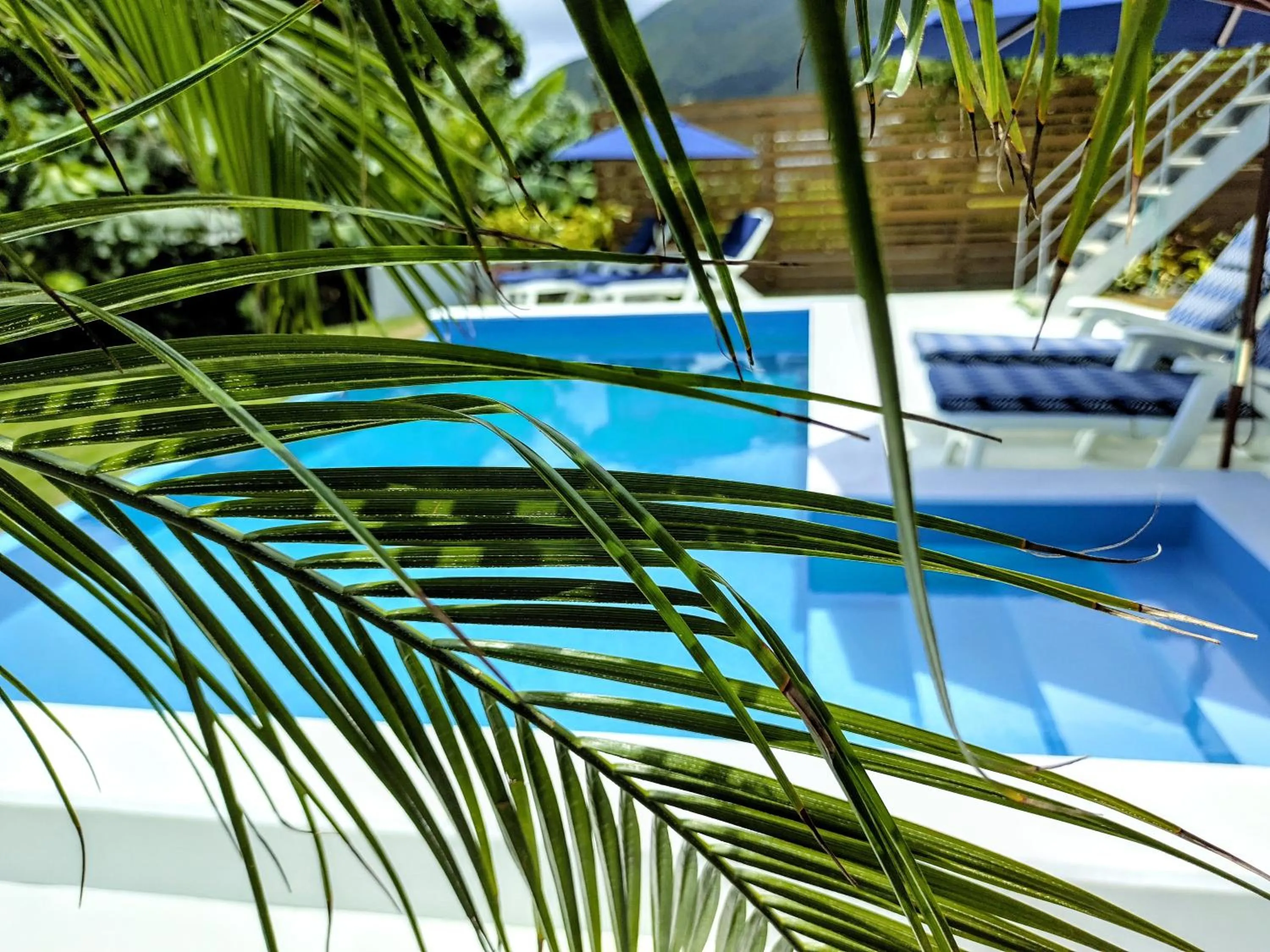 Ocean View Ishigaki Sora and Umi