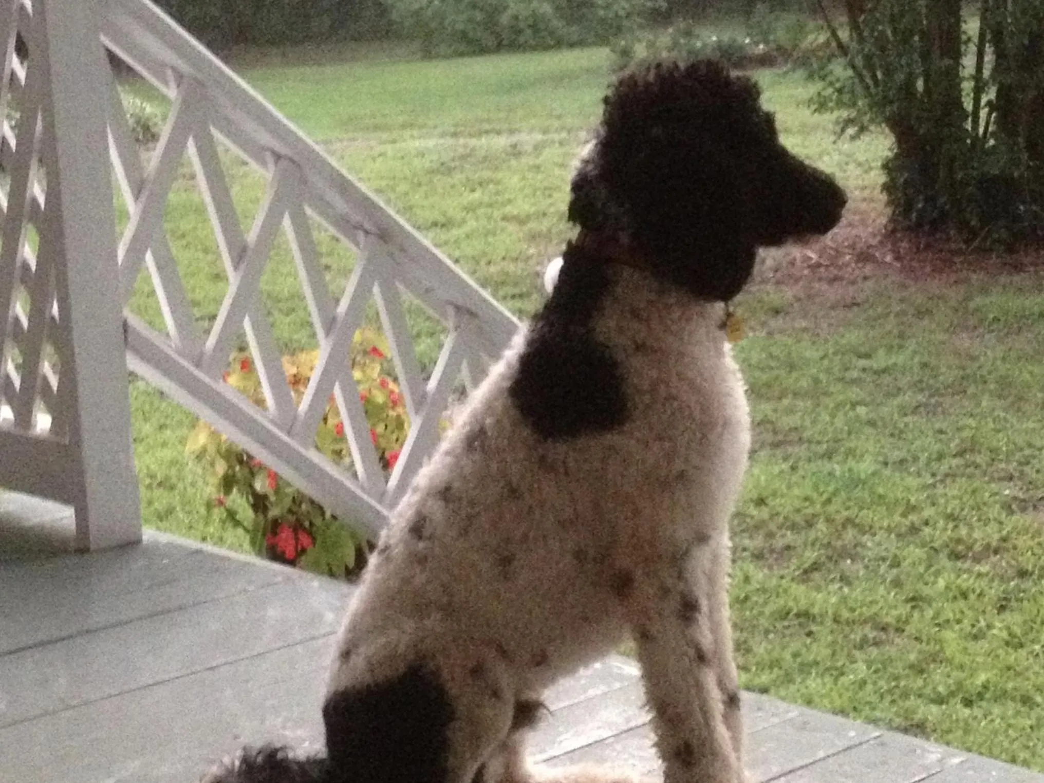 Property building in Oak Grove Bed and Breakfast