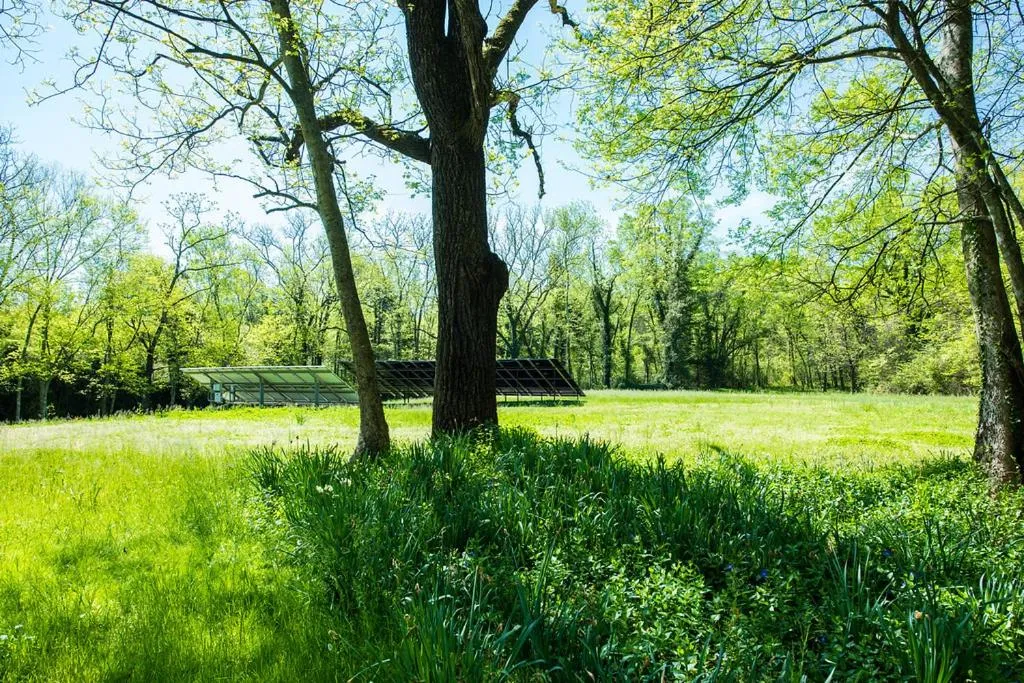 Property building in Oak Grove Bed and Breakfast