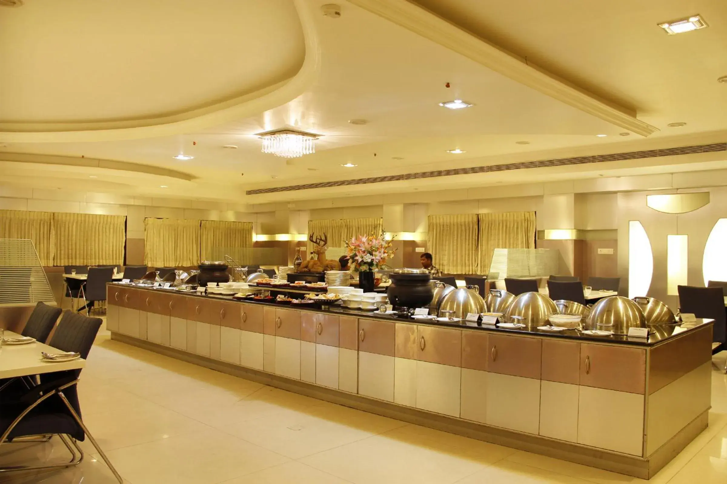 Restaurant/places to eat in Hotel DSF Grand Plaza Restaurant/places to eat in Hotel DSF Grand Plaza