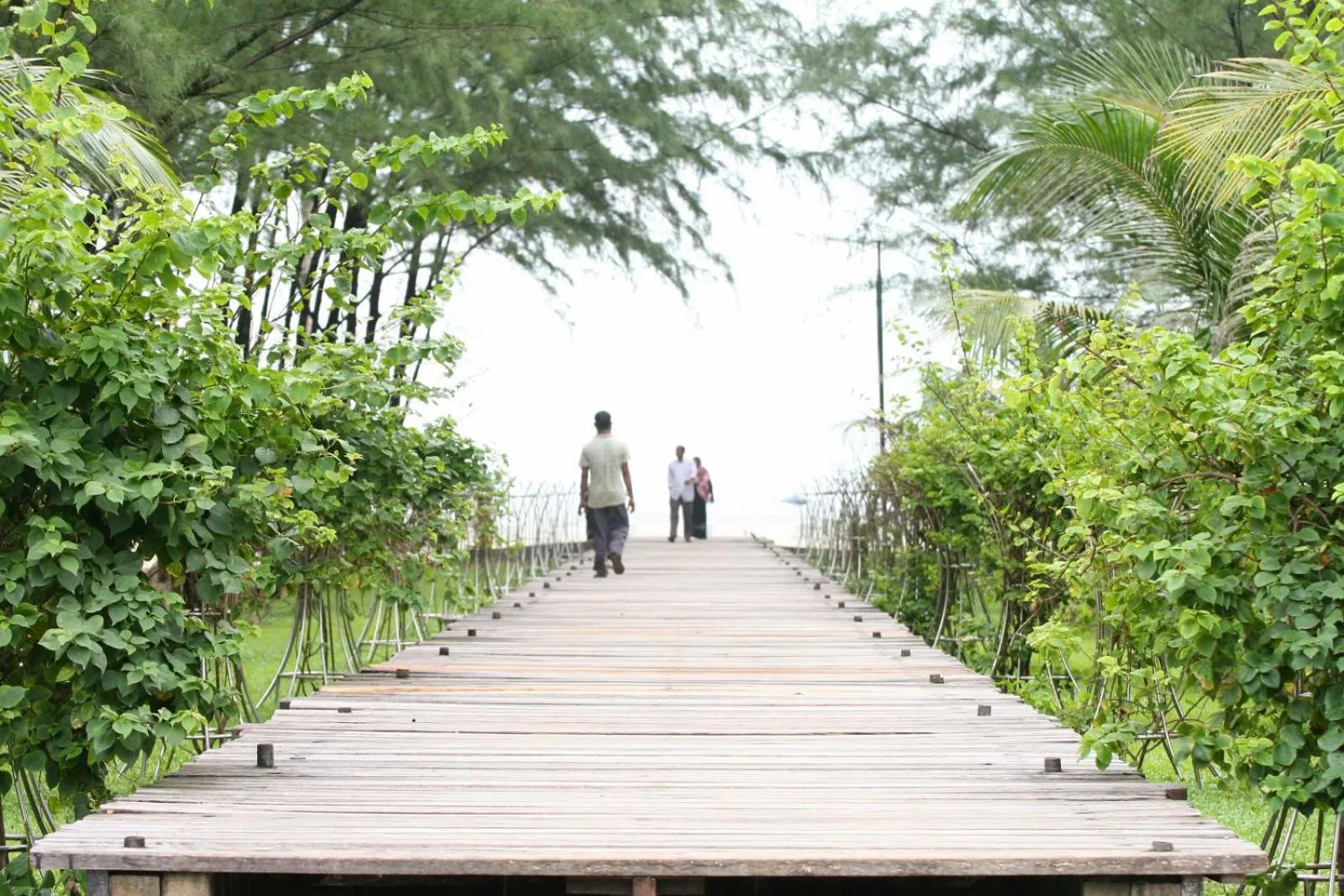 Garden in Seagull Hotel Ltd